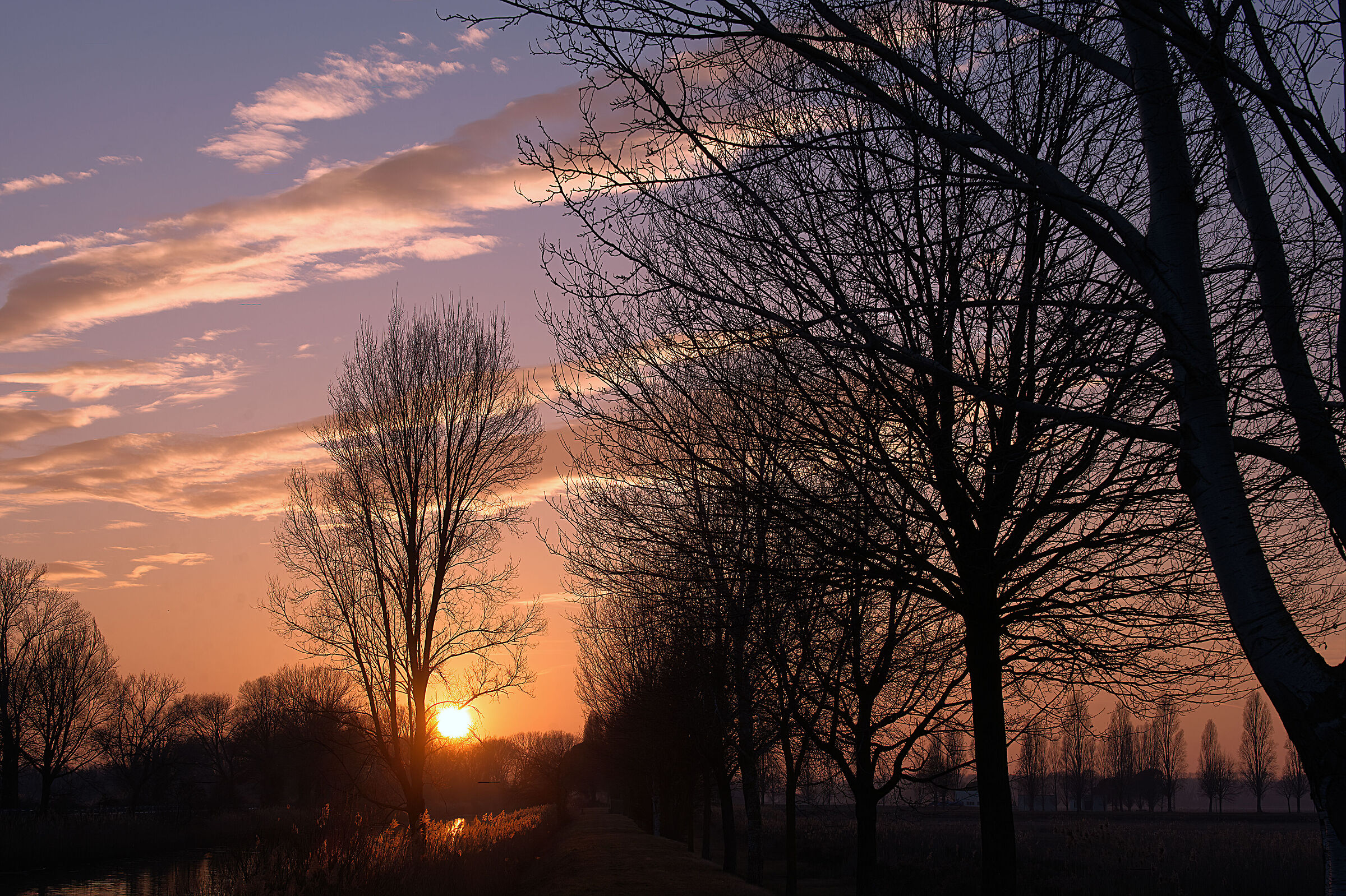 Last lights at the Isola della Cona
