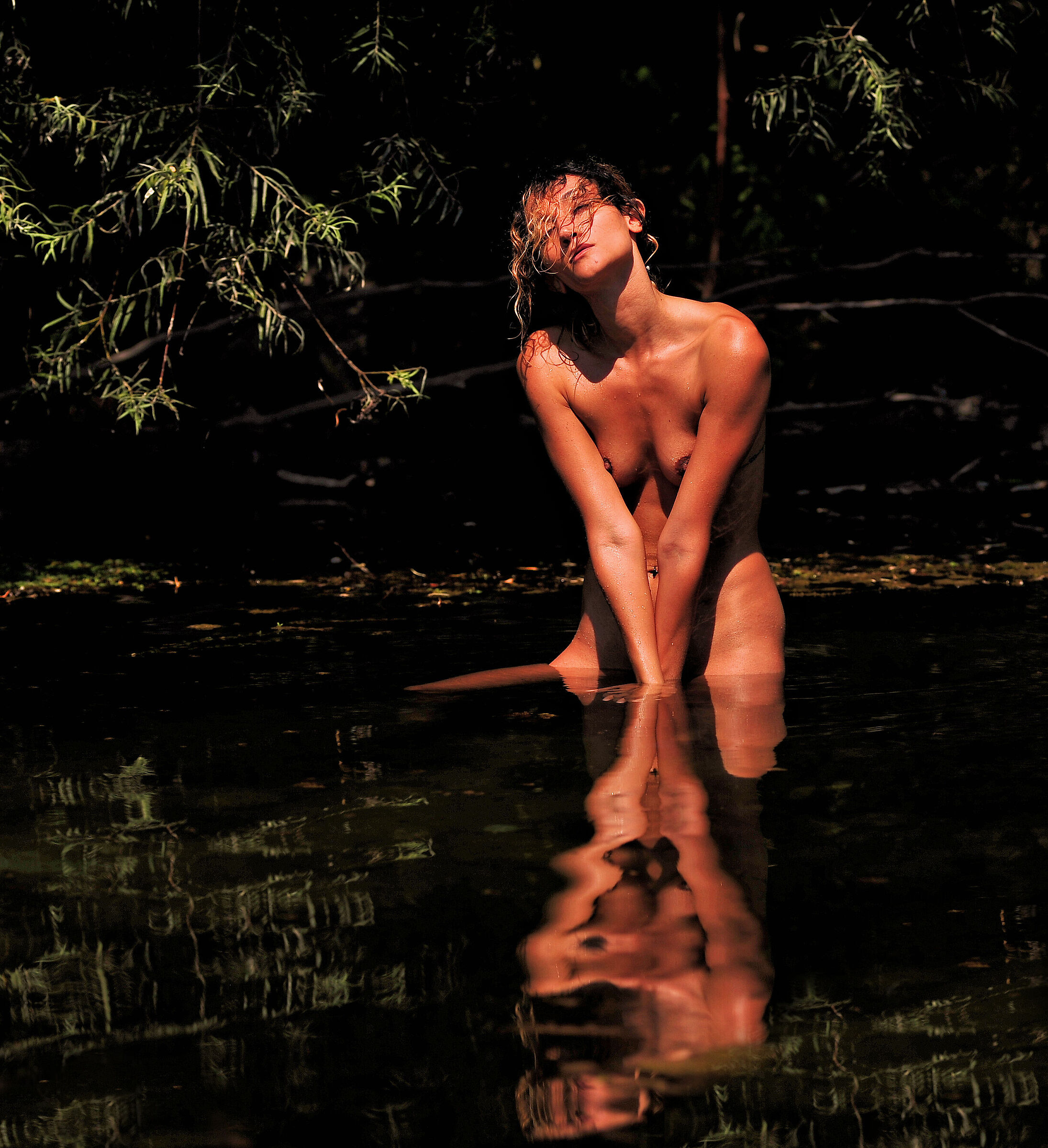 model: Ari