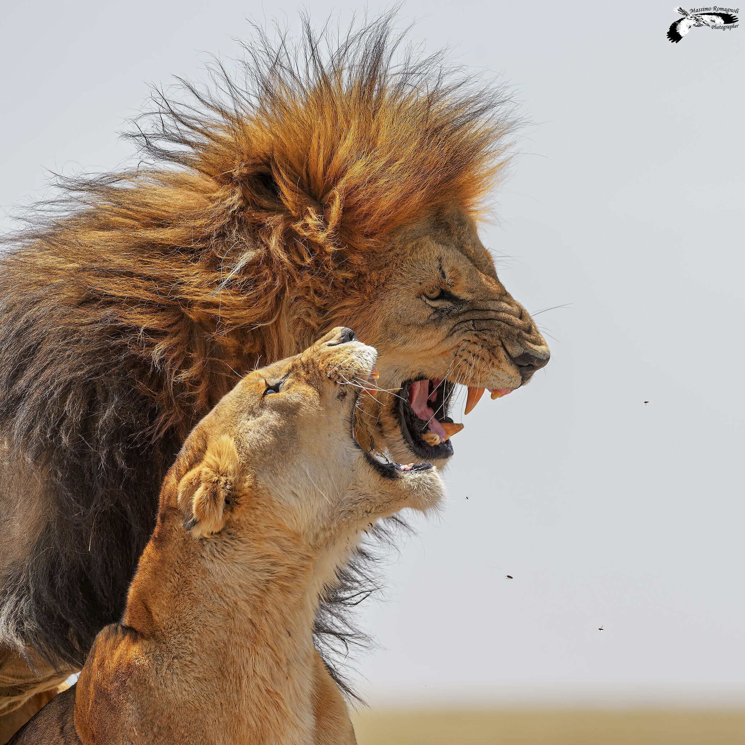 "Electrifying" moment