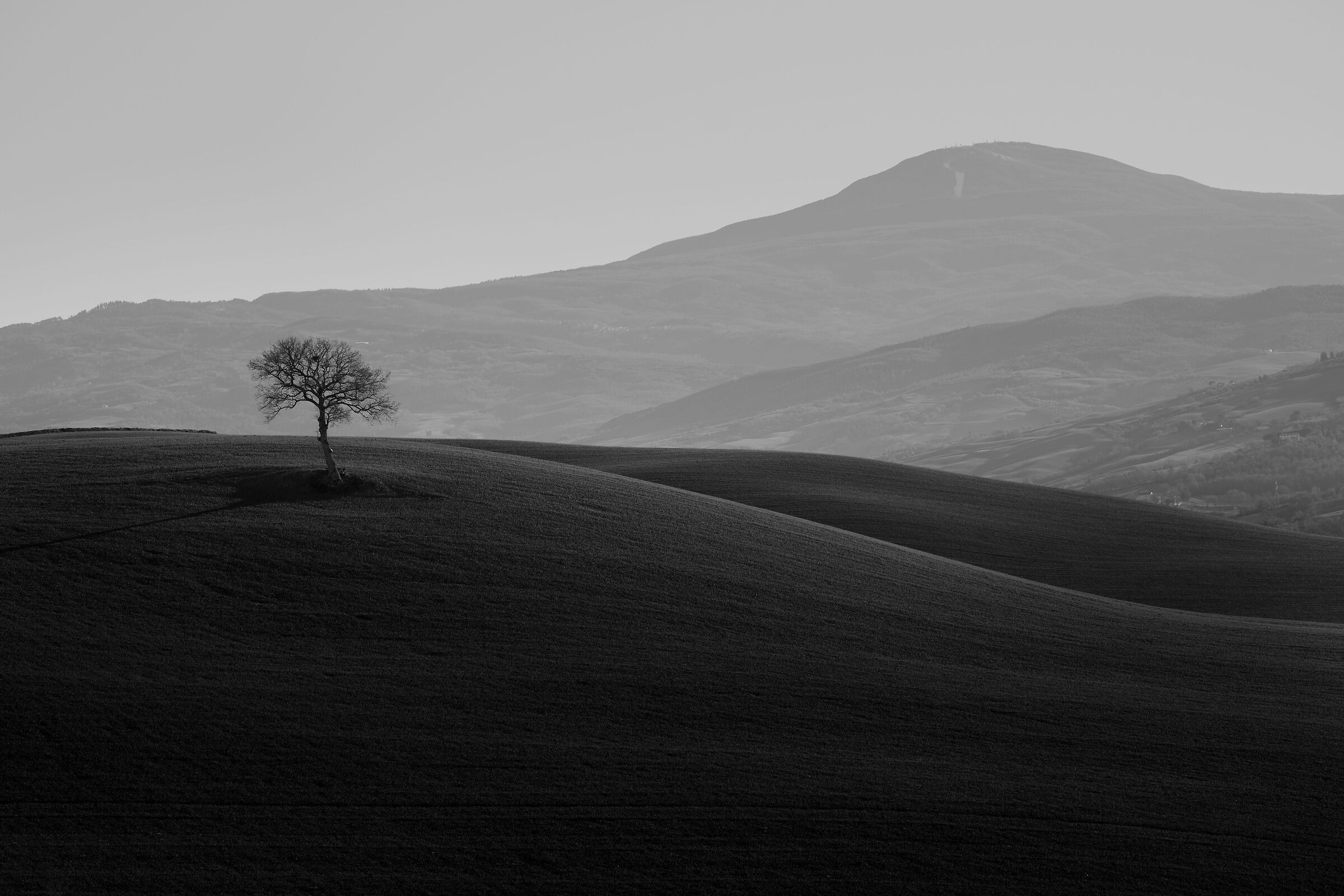 Val d'Orcia in bianco e nero