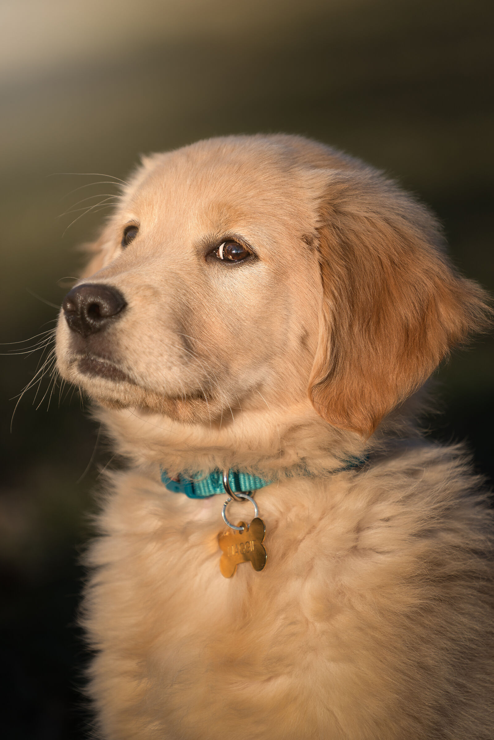 Maggie...