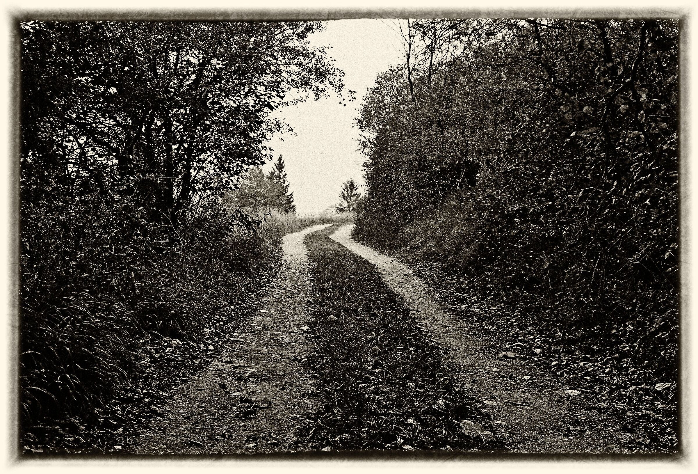 road - black and white