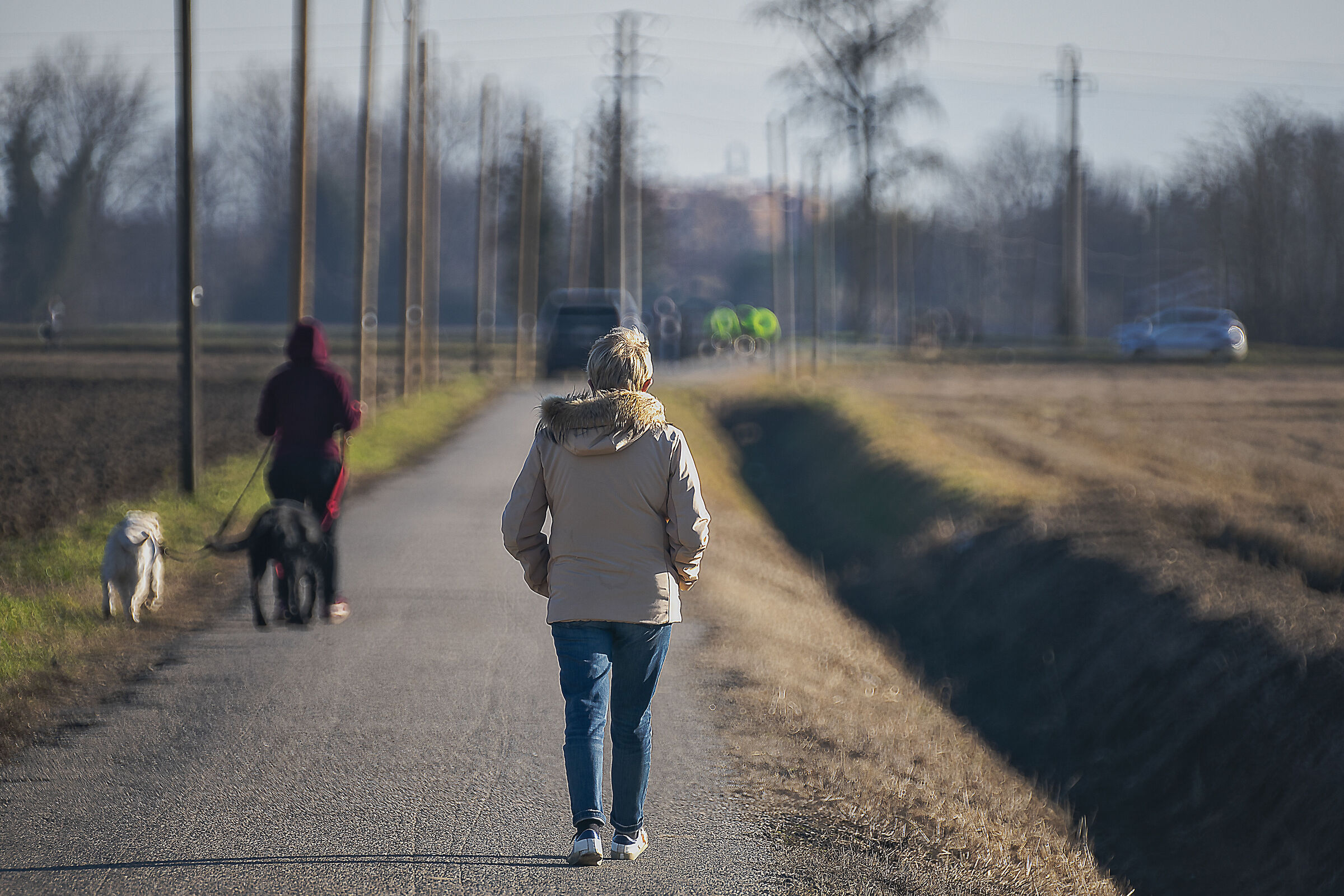 Away from the crazy crowd