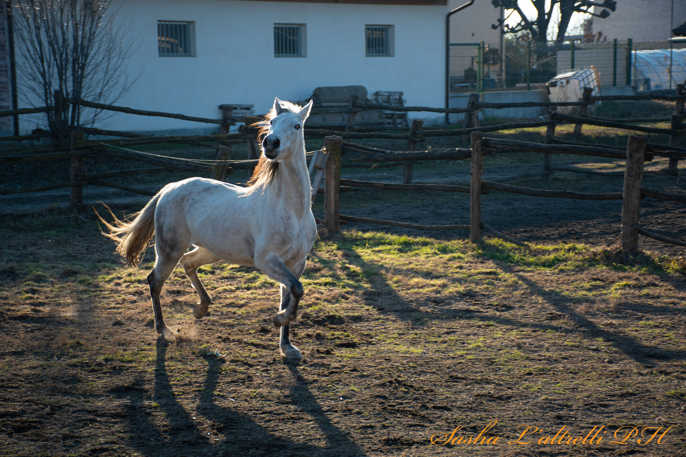 La classe non è acqua
