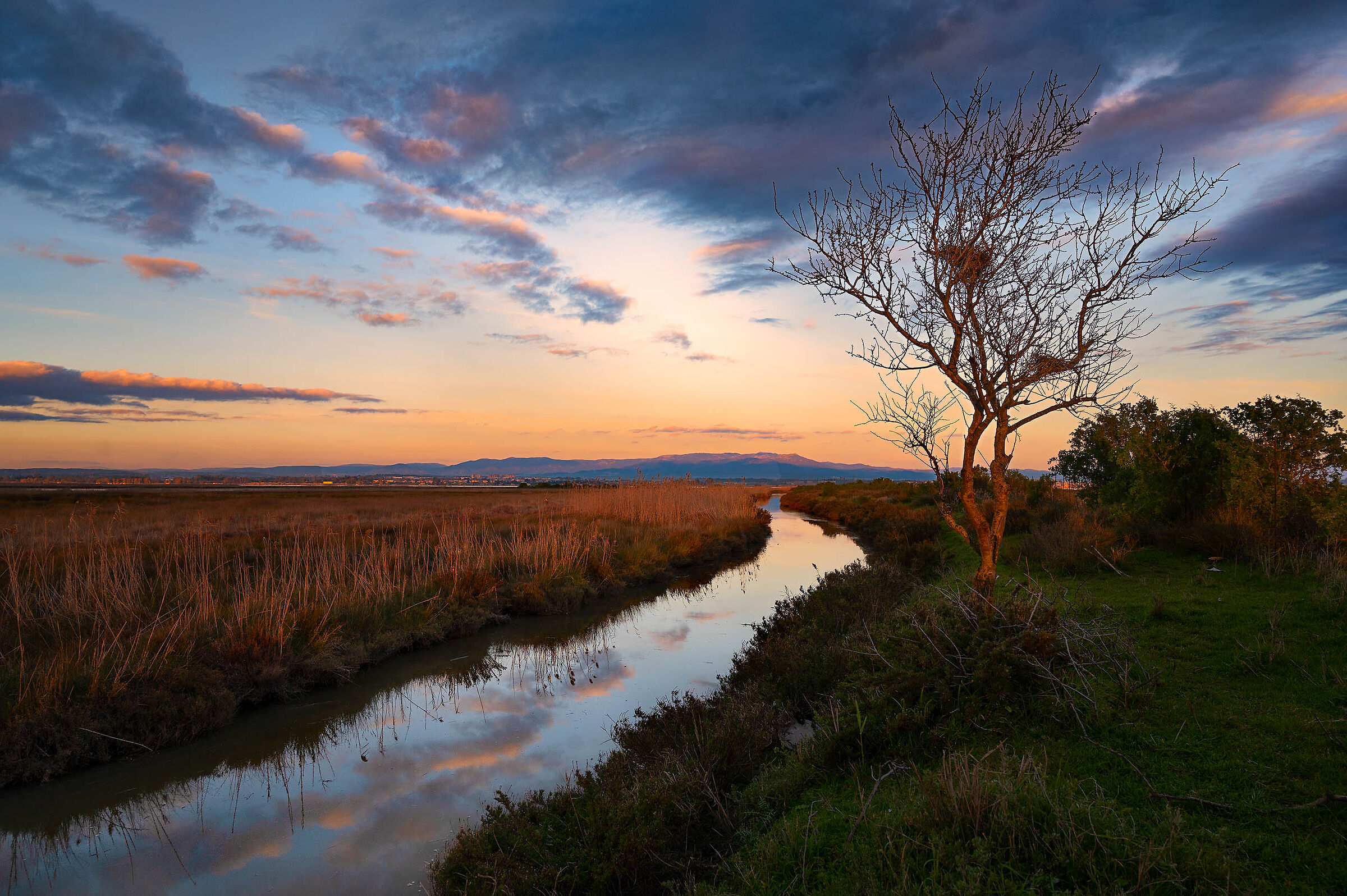 Where the river flows