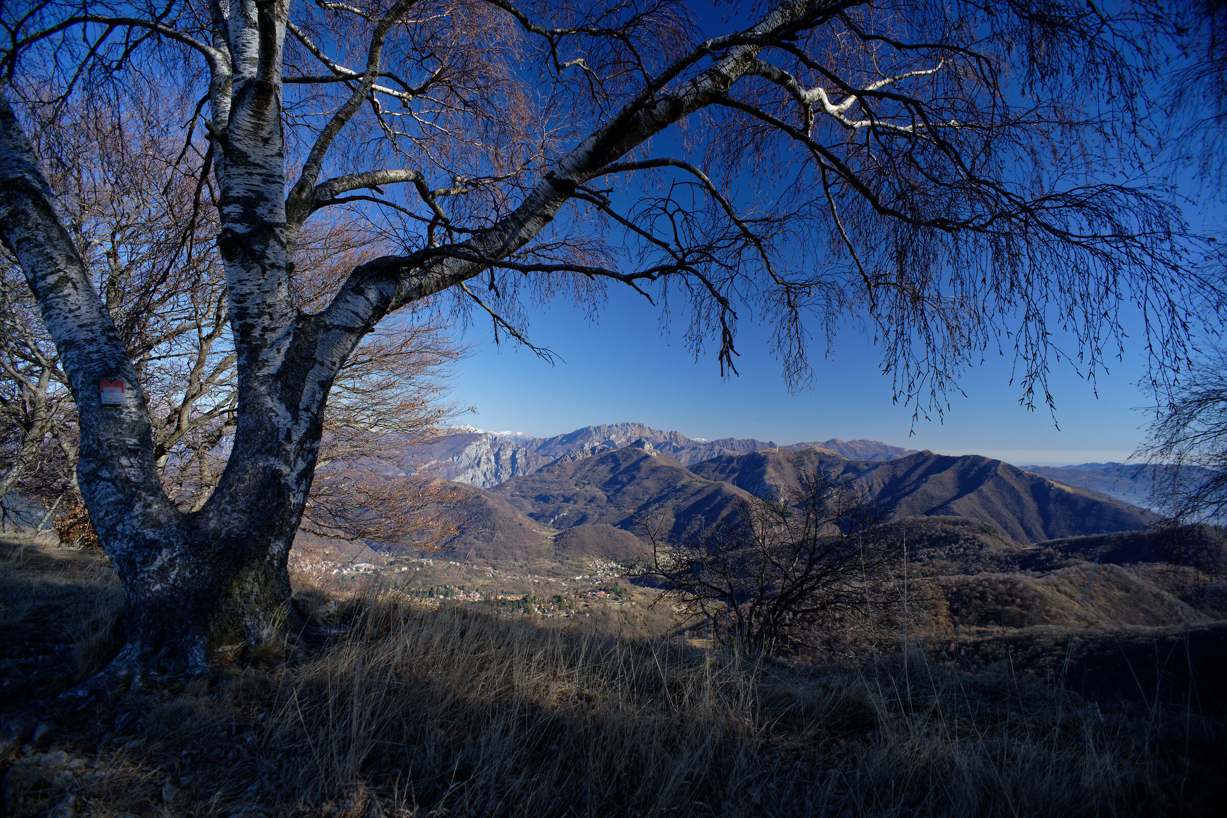 Il Resegone dal Palanzone