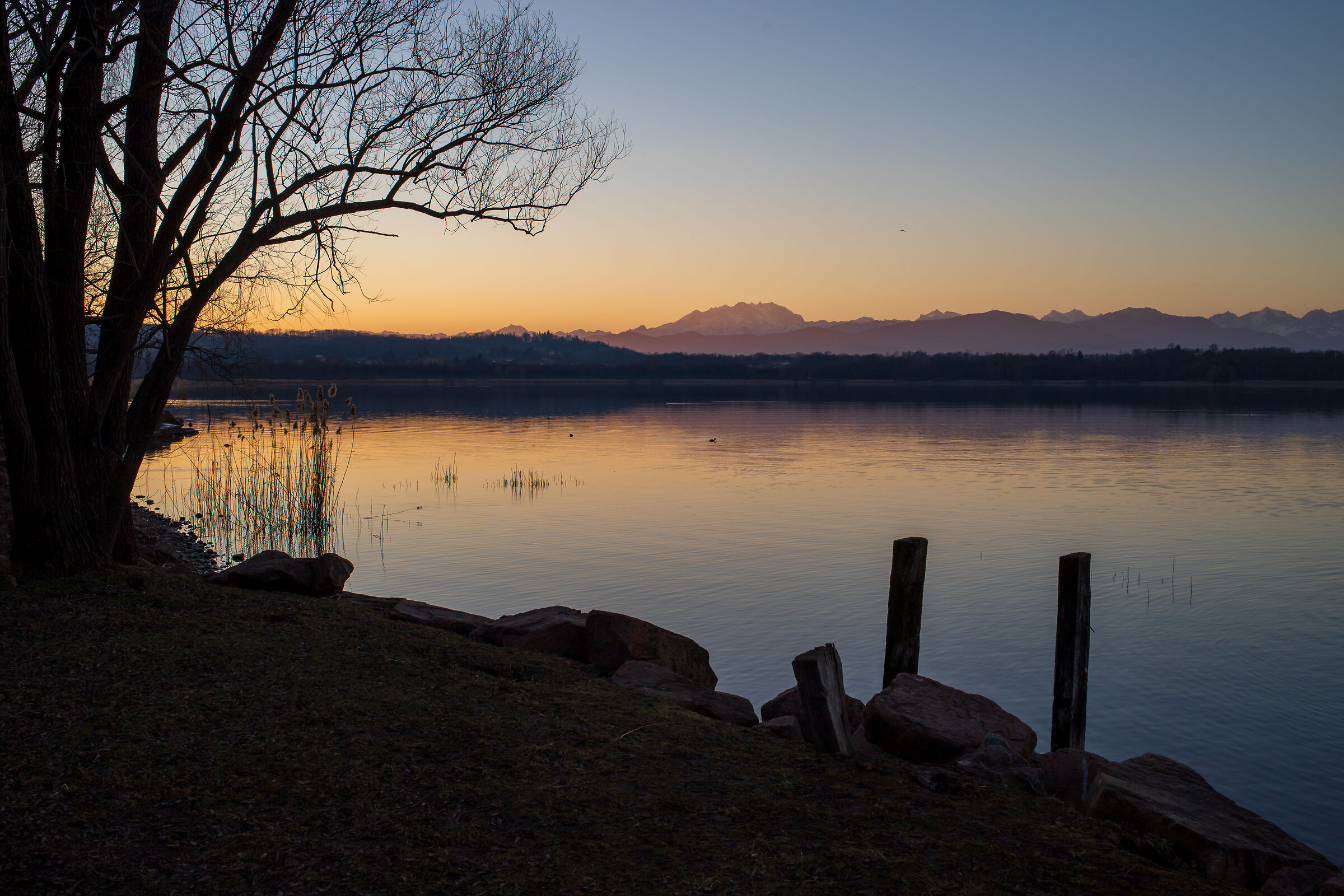 Monte Rosa seen from Cazzago Brabbia