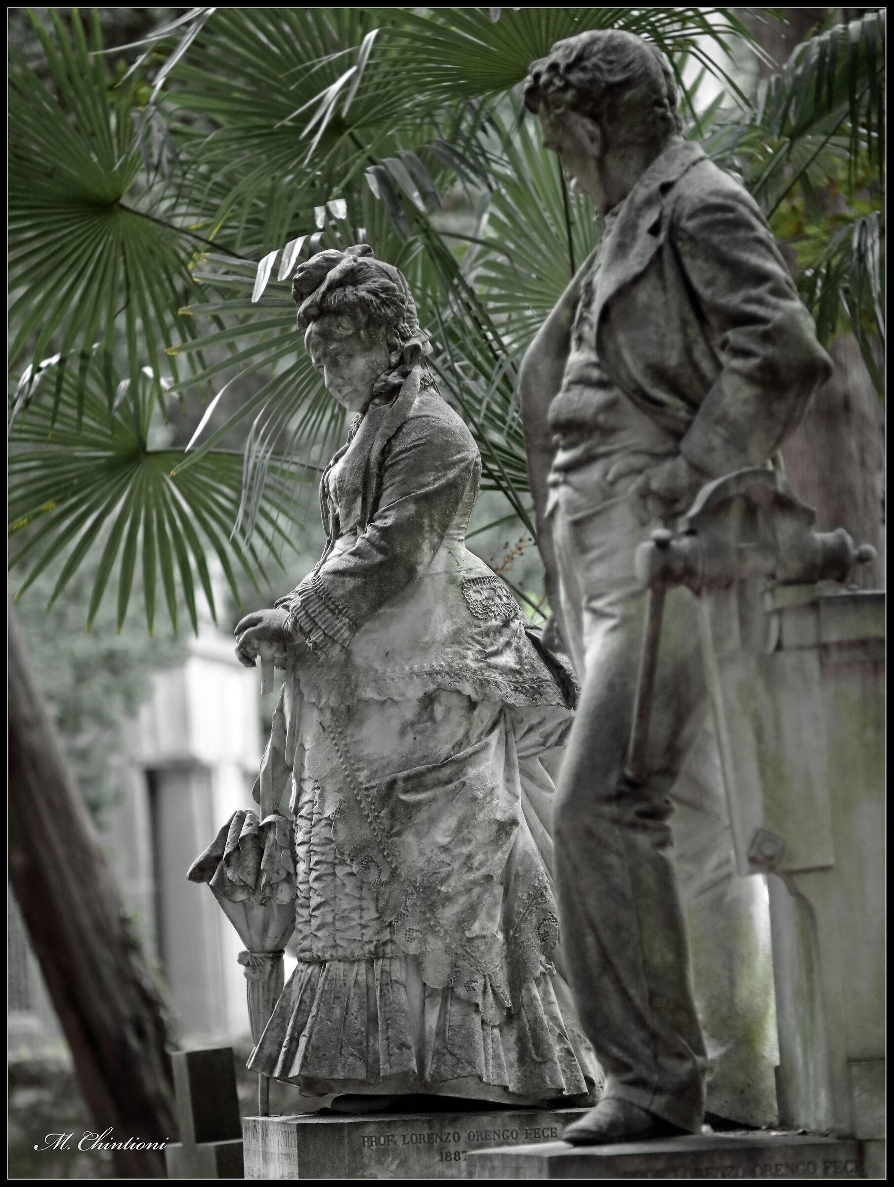 ".... do you allow Lady?"