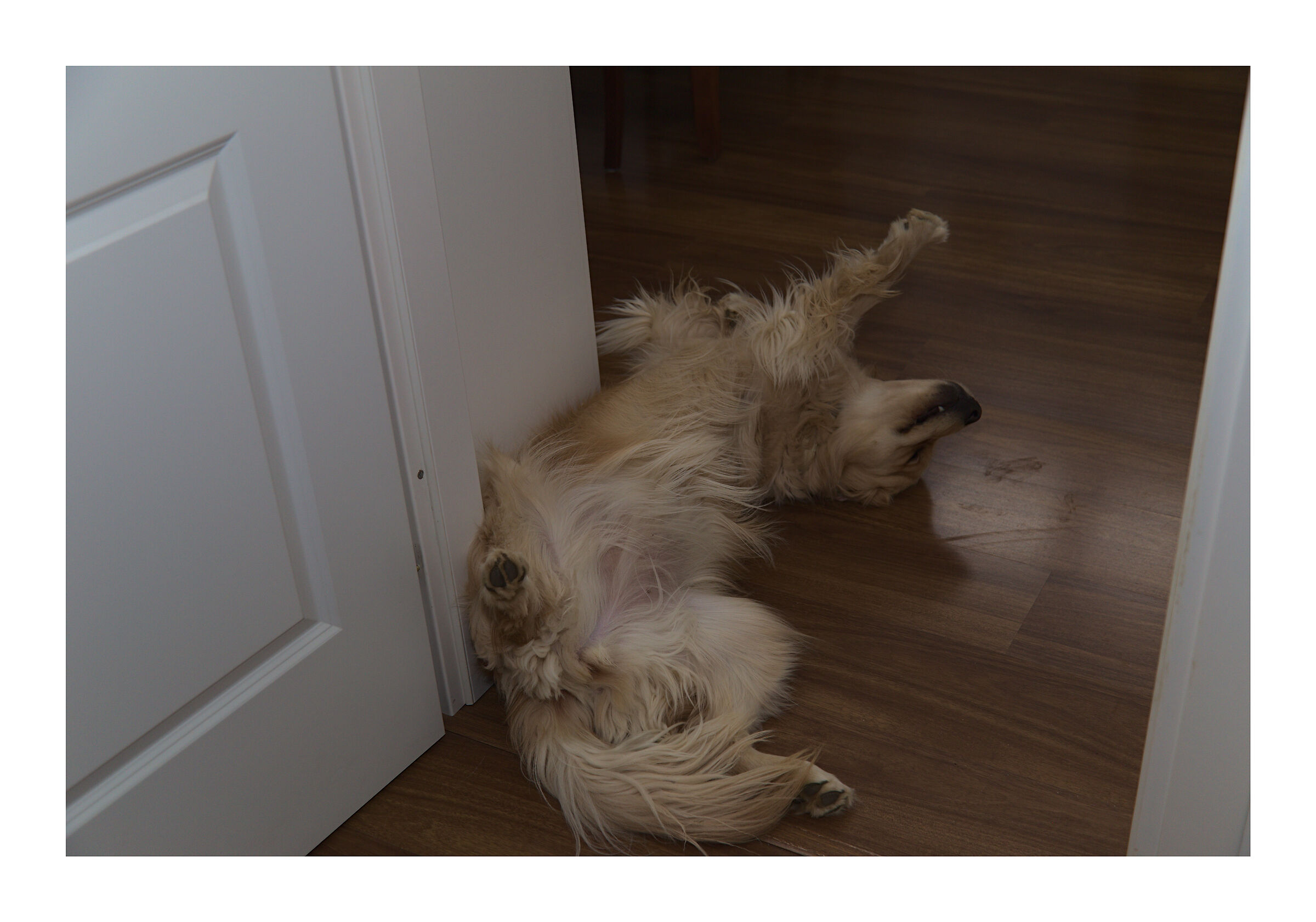 Melody #16. Superman II