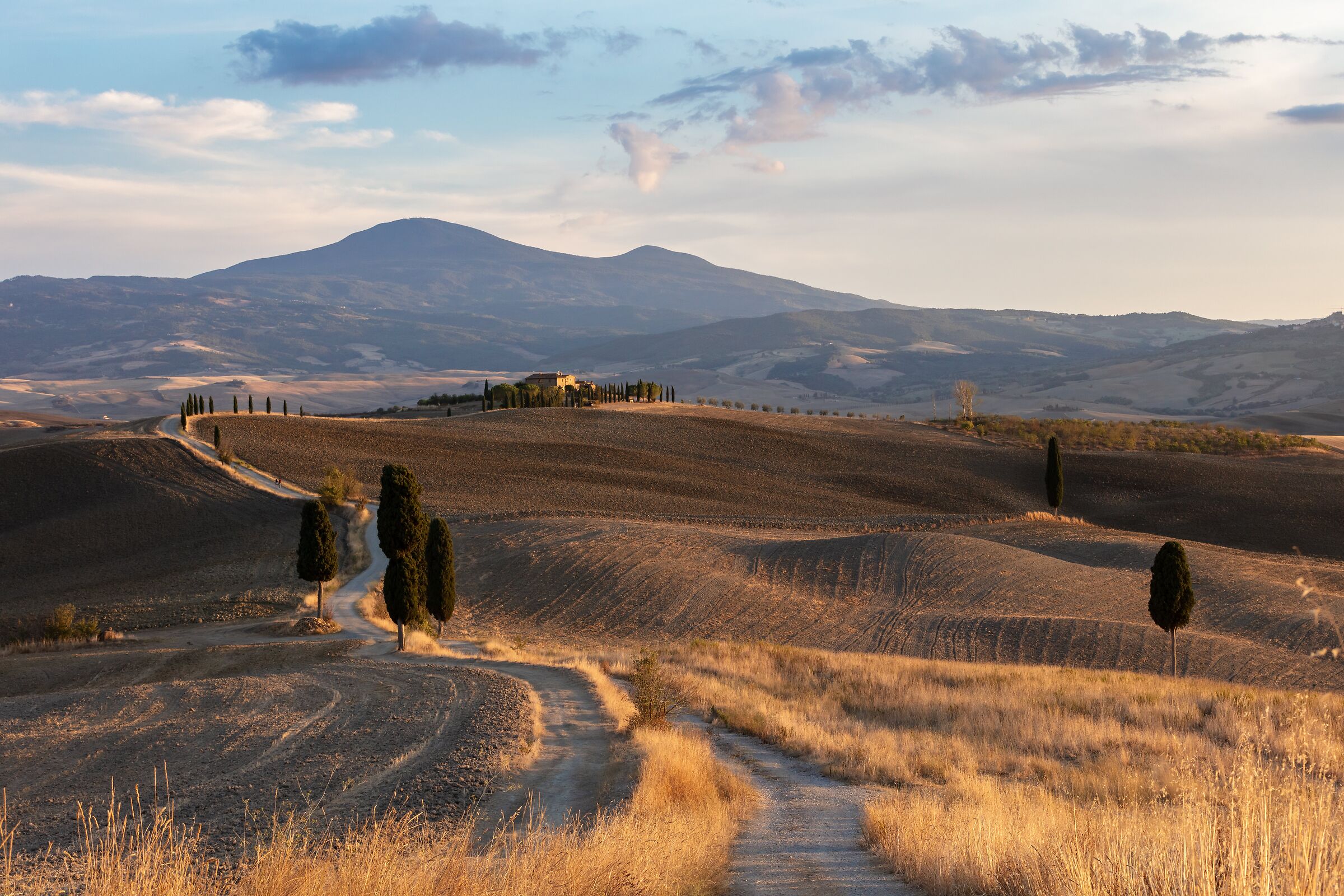 Cipressi de "Il gladiatore"