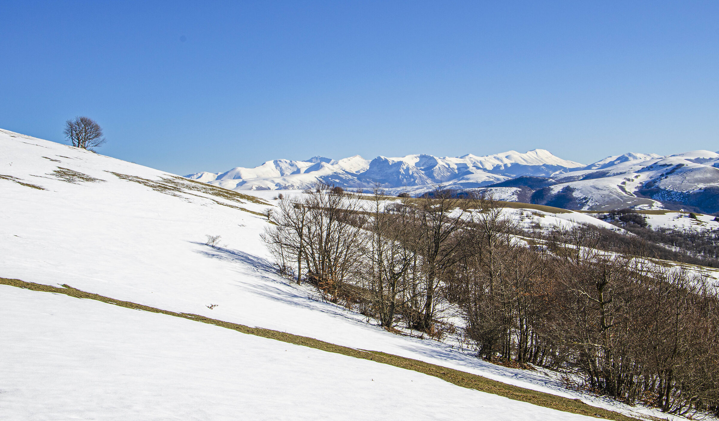 Sibillini Mountains in the background