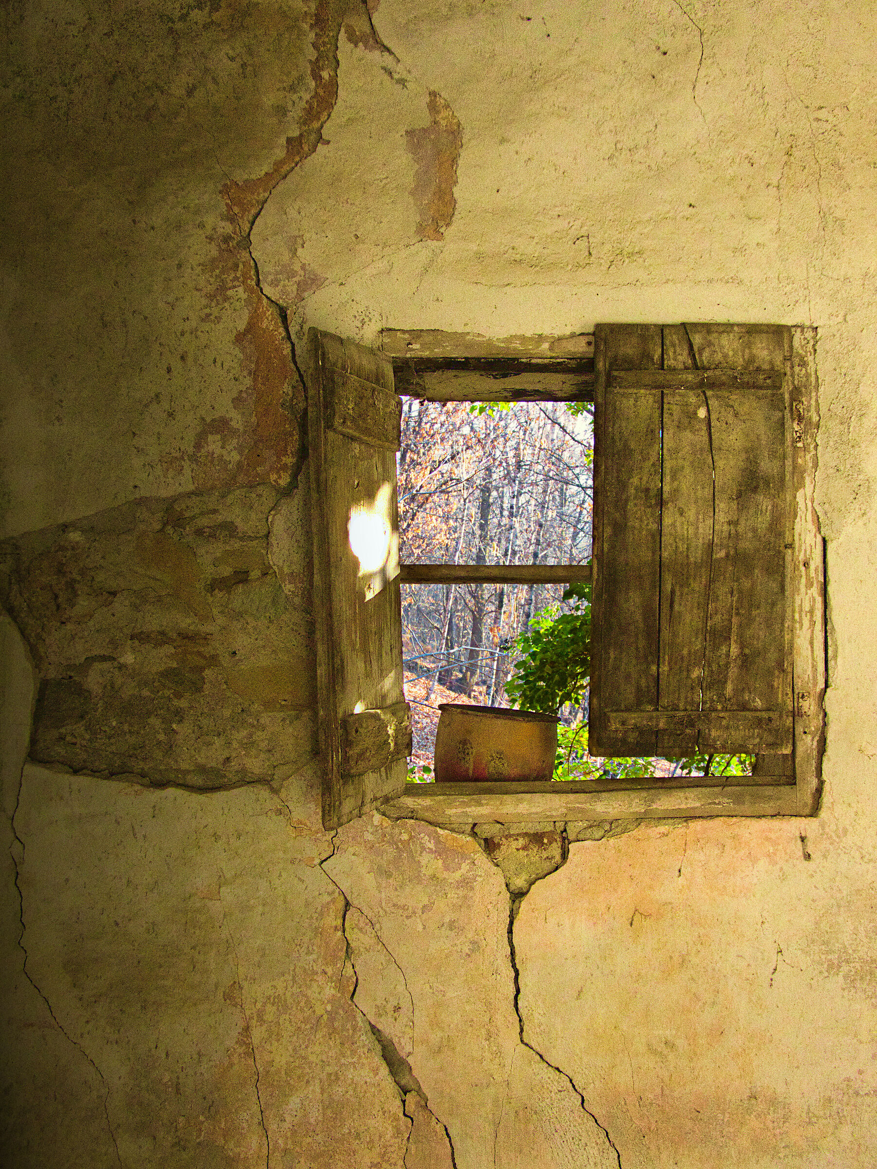 Window on the past