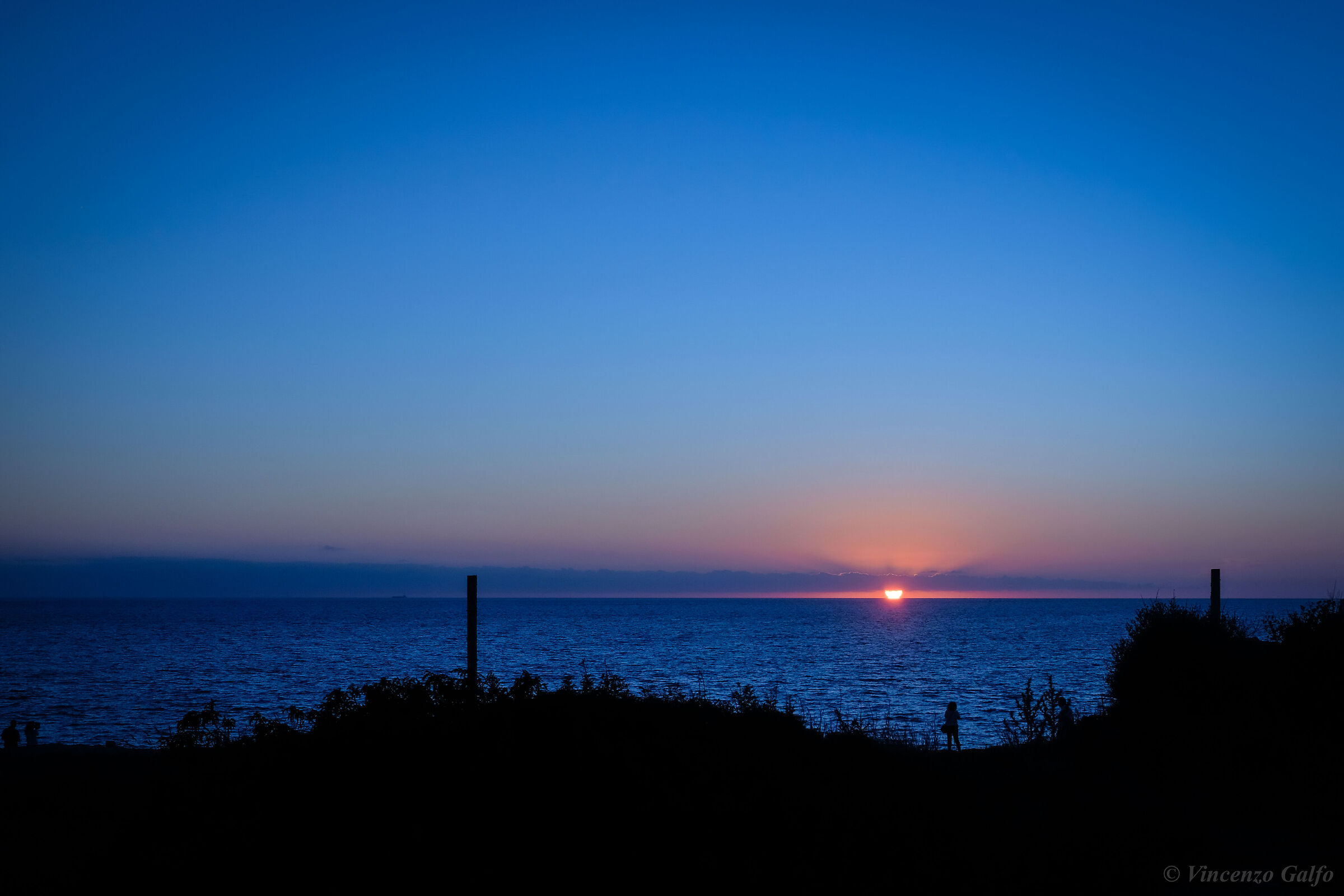 Blue Occasa
