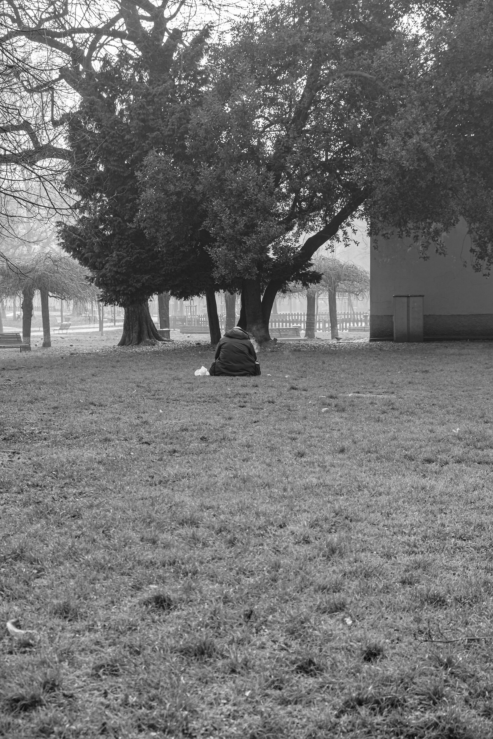 In the middle of the lawn