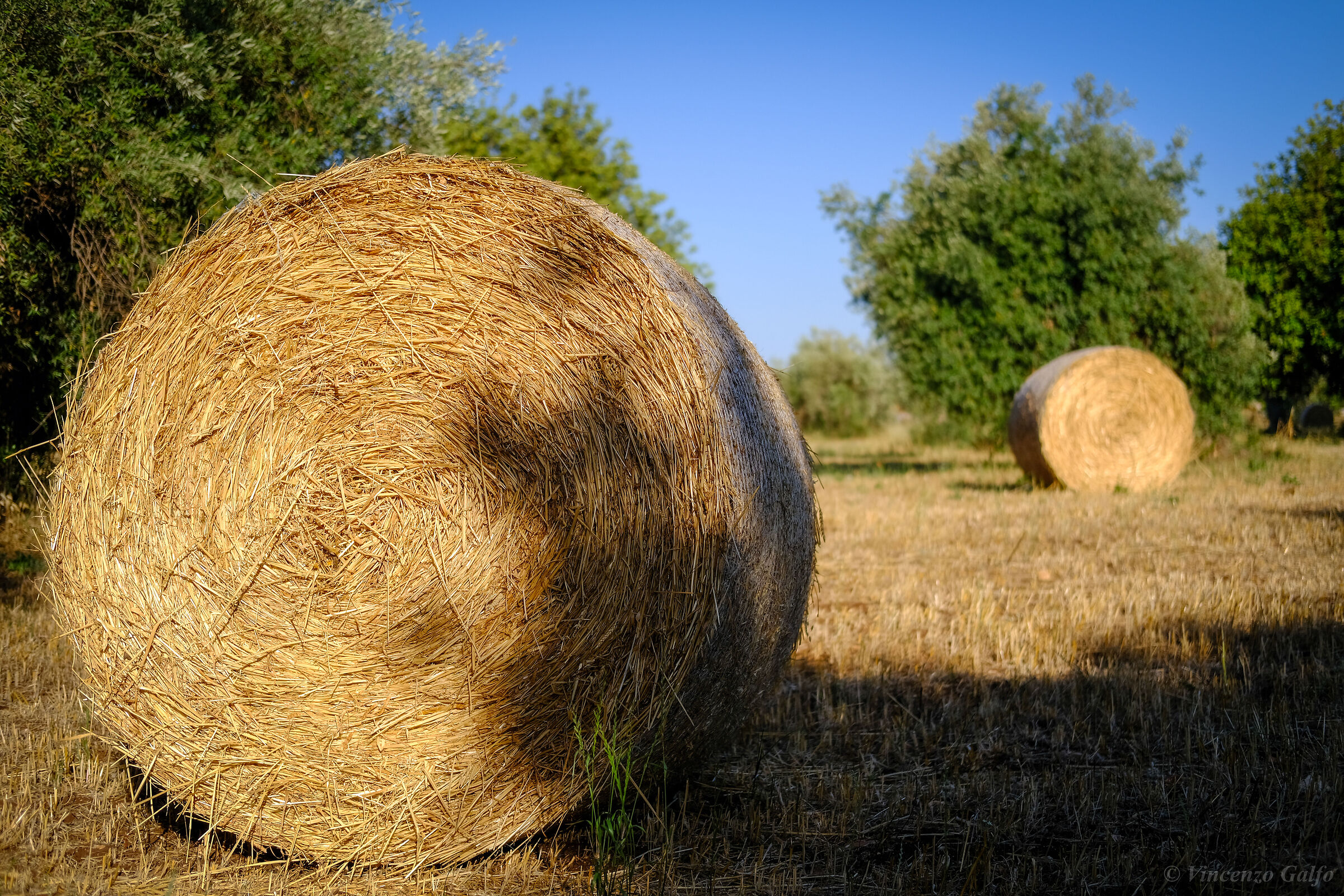 The Bales