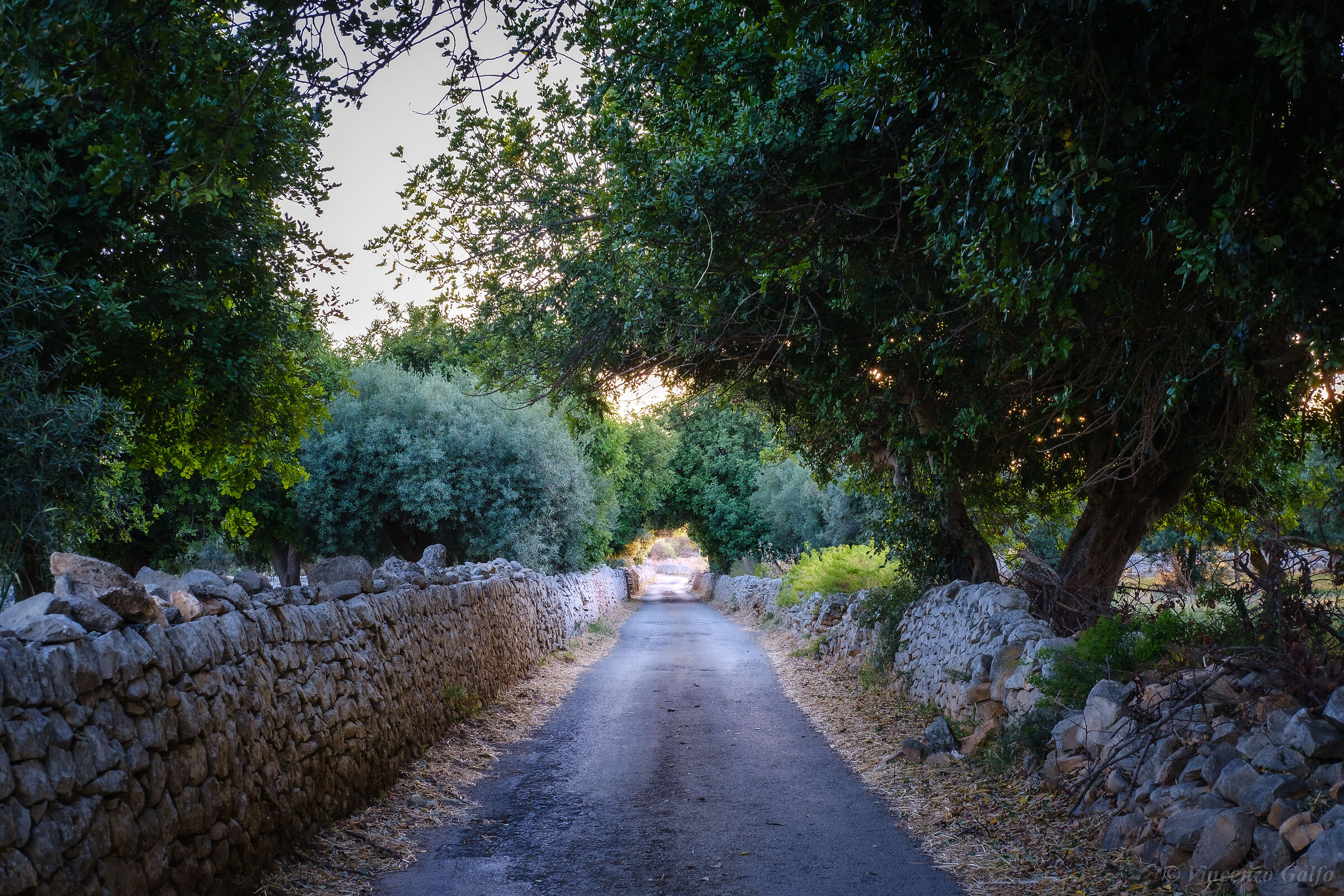 Tunnel of Light