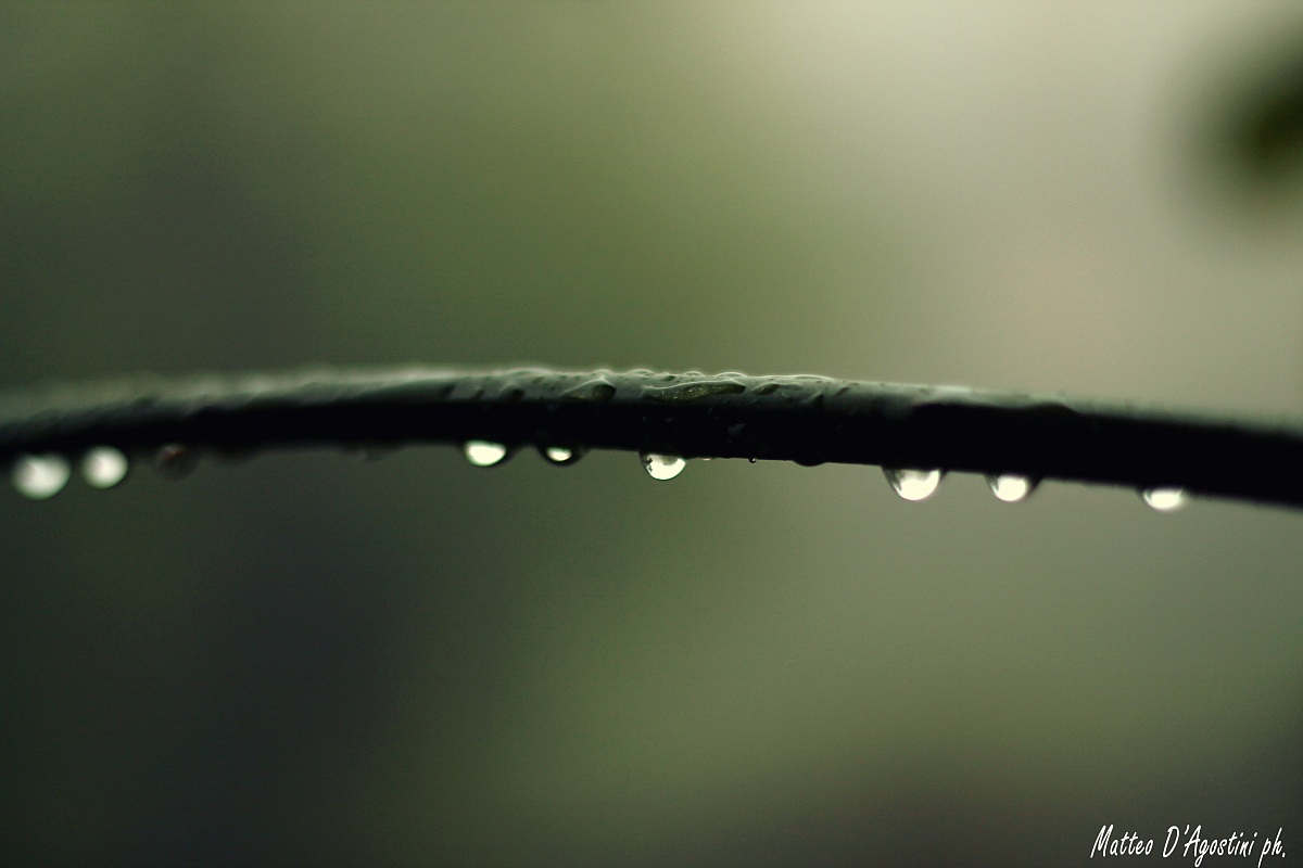 Drops.