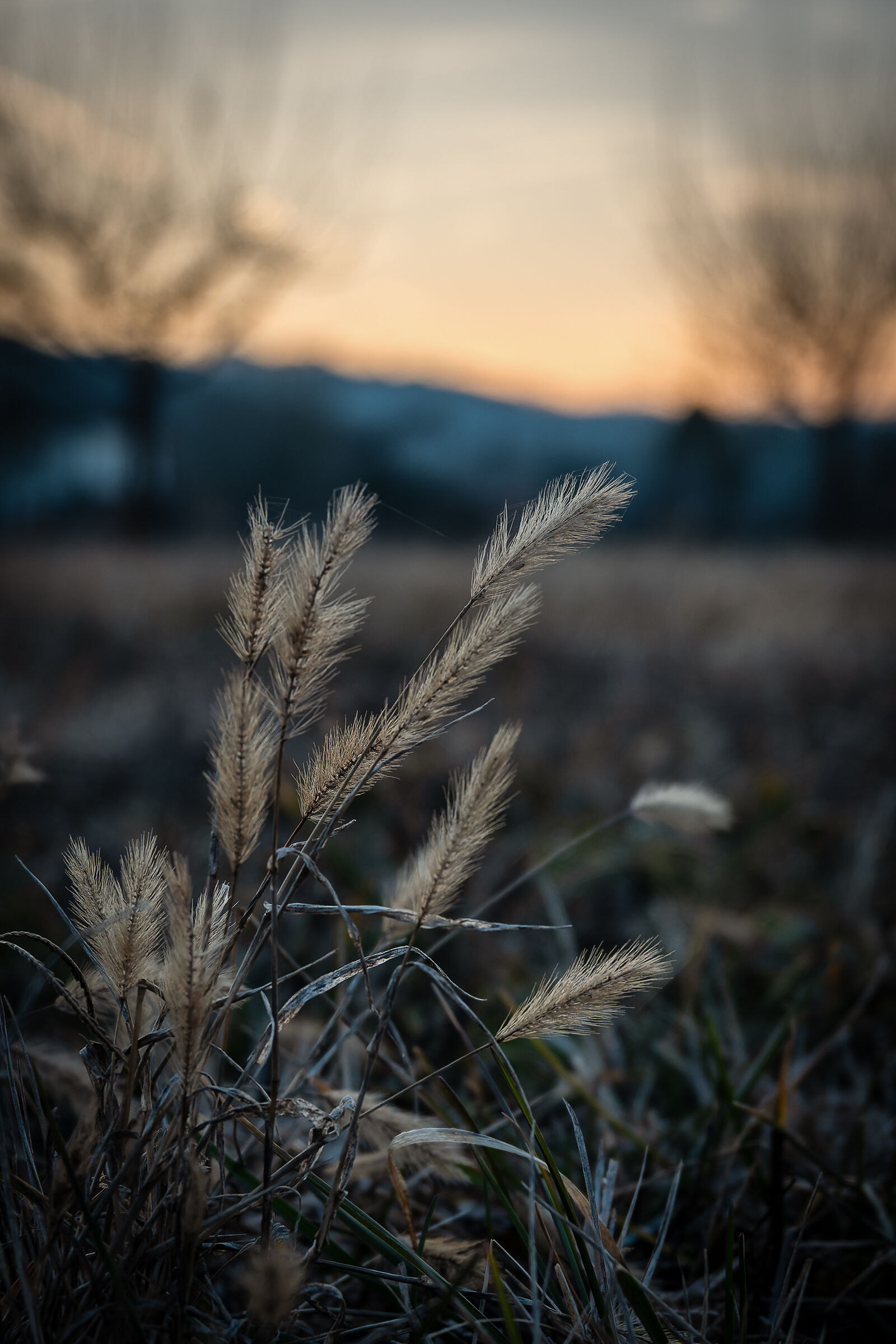 Sunsets in the northeast