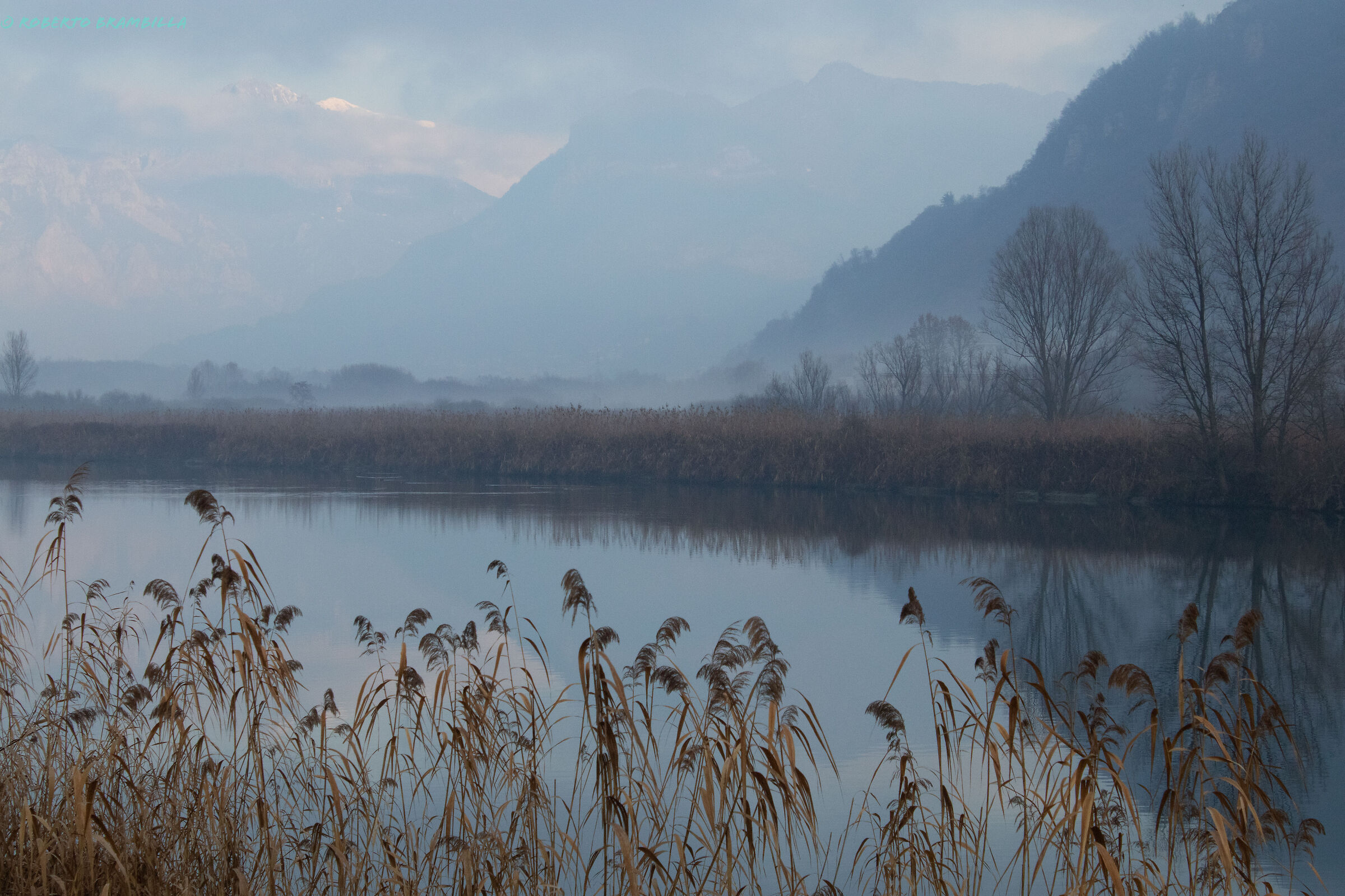 Between the reeds
