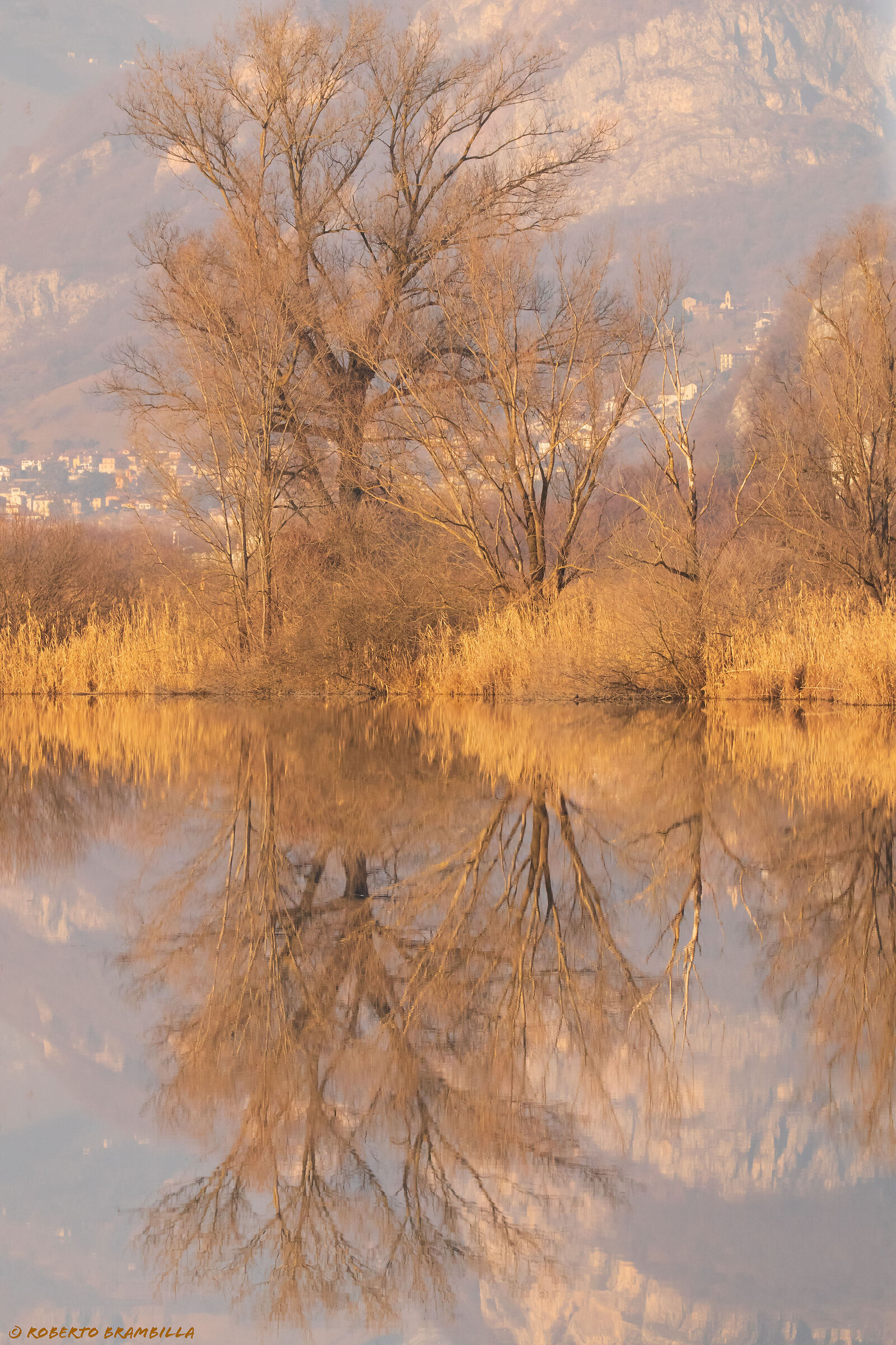 Beautiful winter