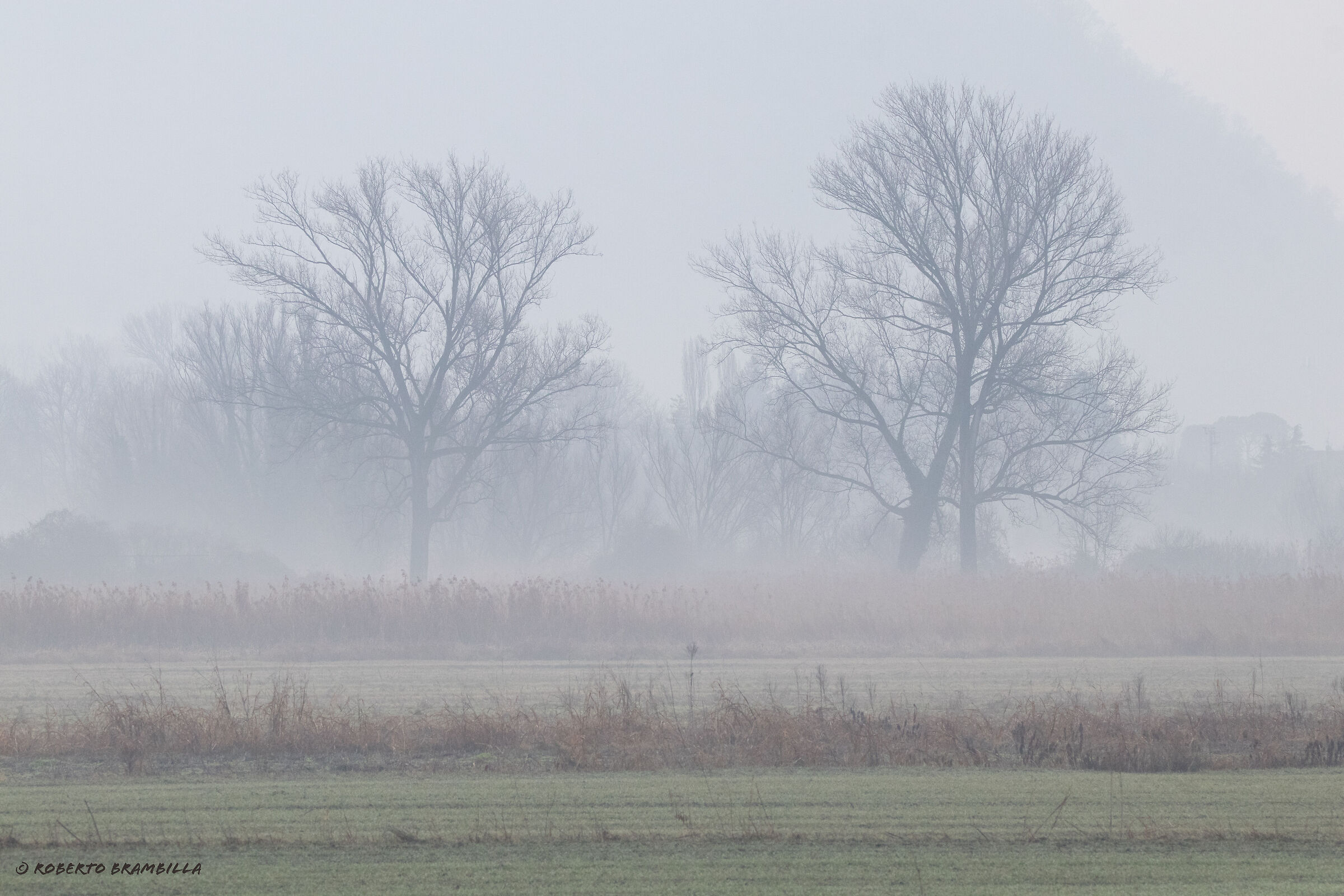 Winter