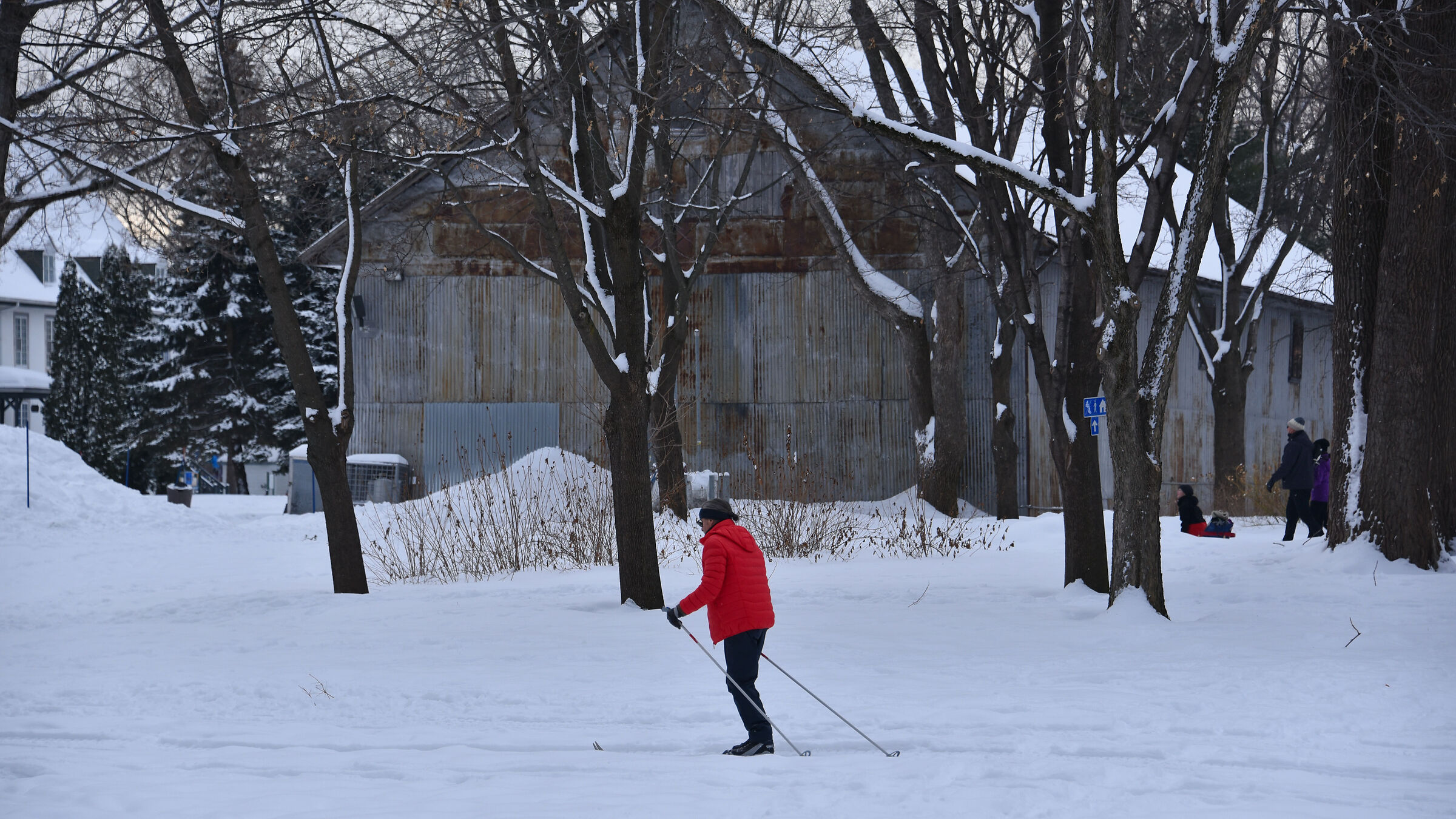 Favorite activity of Quebecers in the winter season