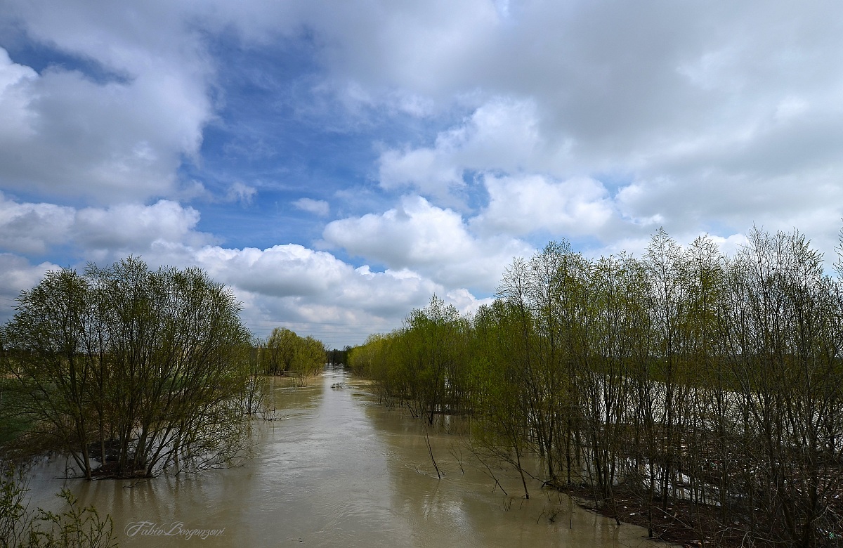 Il Reno questa mattina II