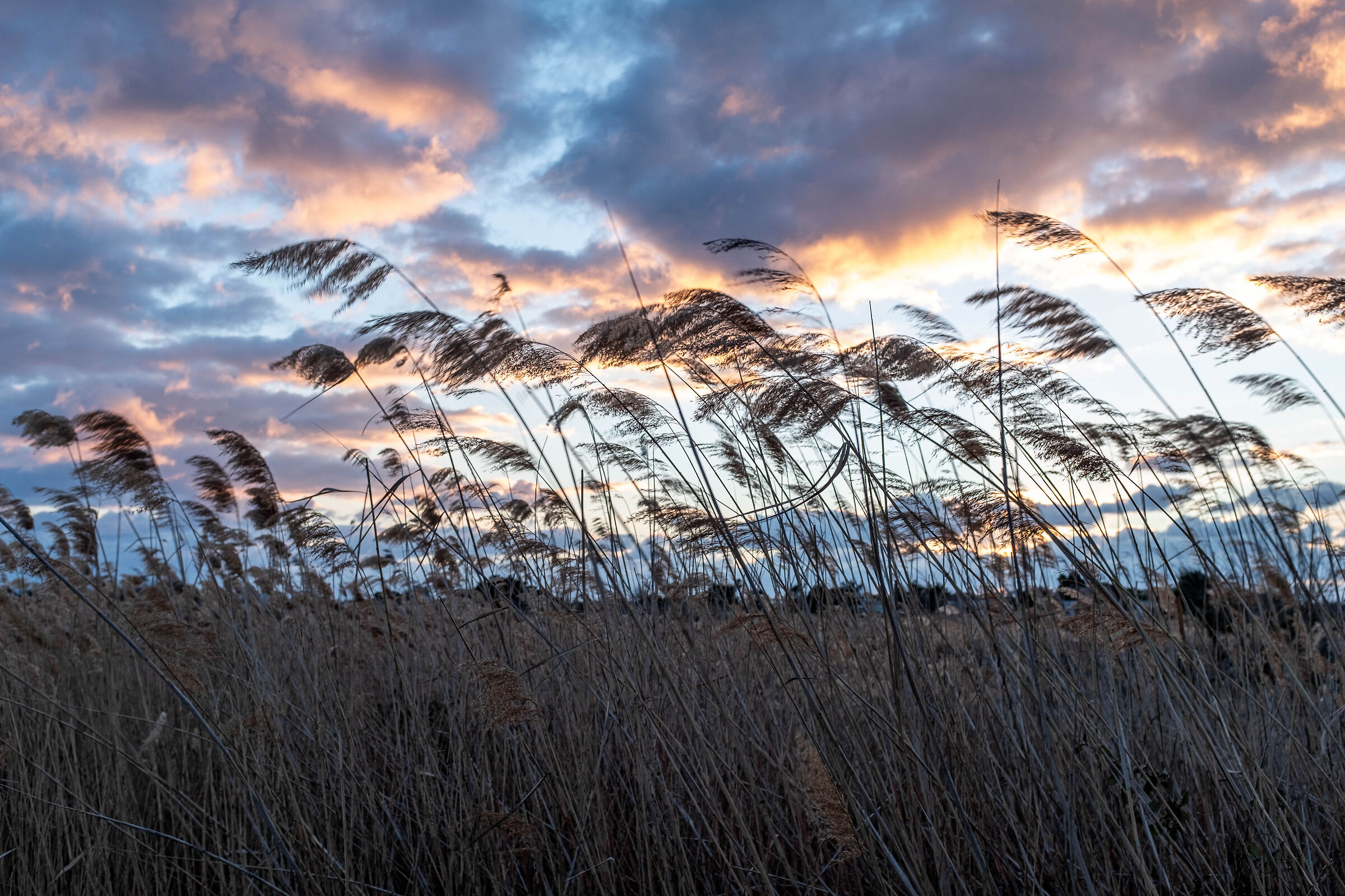 vicino alla spiaggia