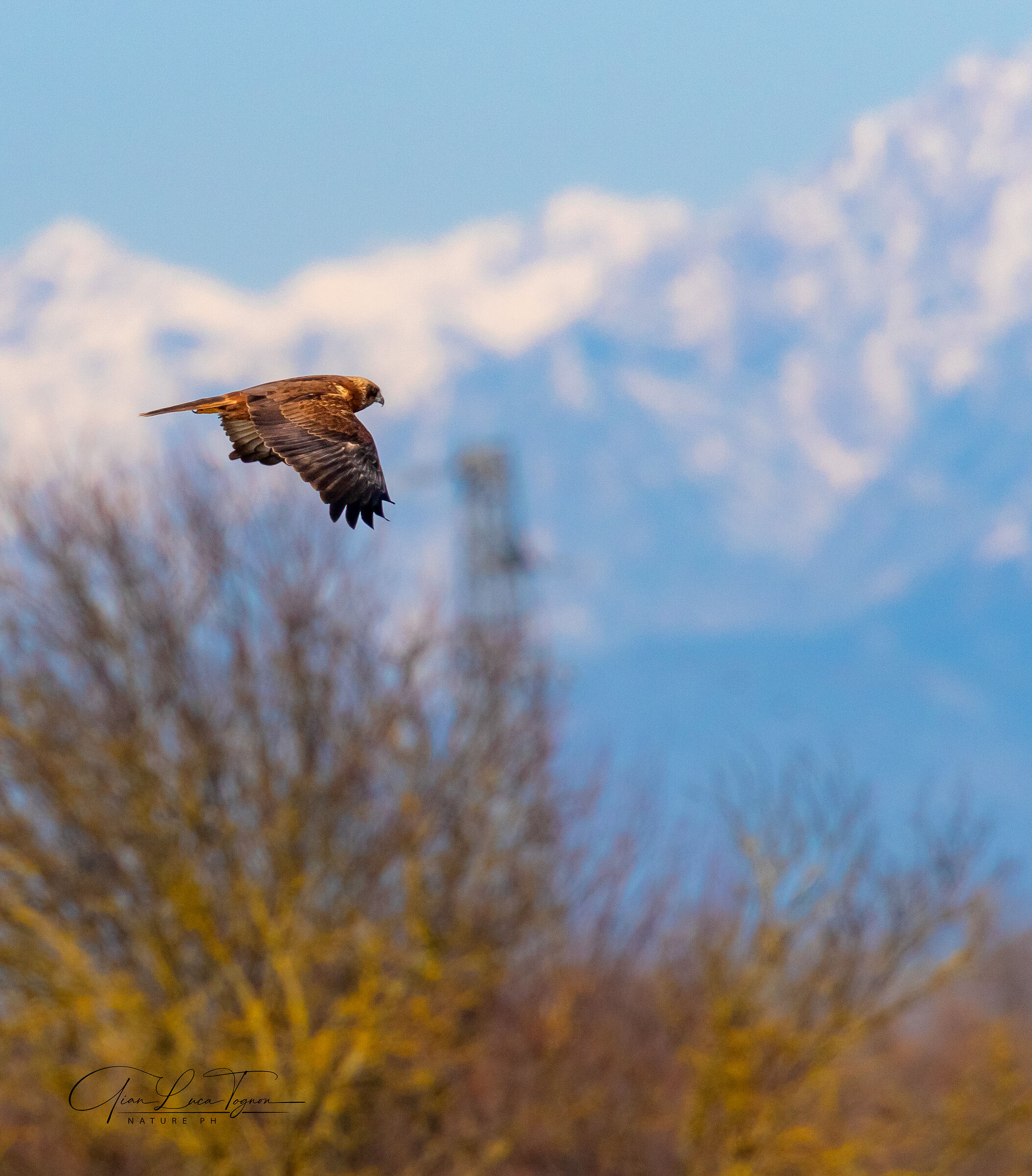Volo su palude e montagne