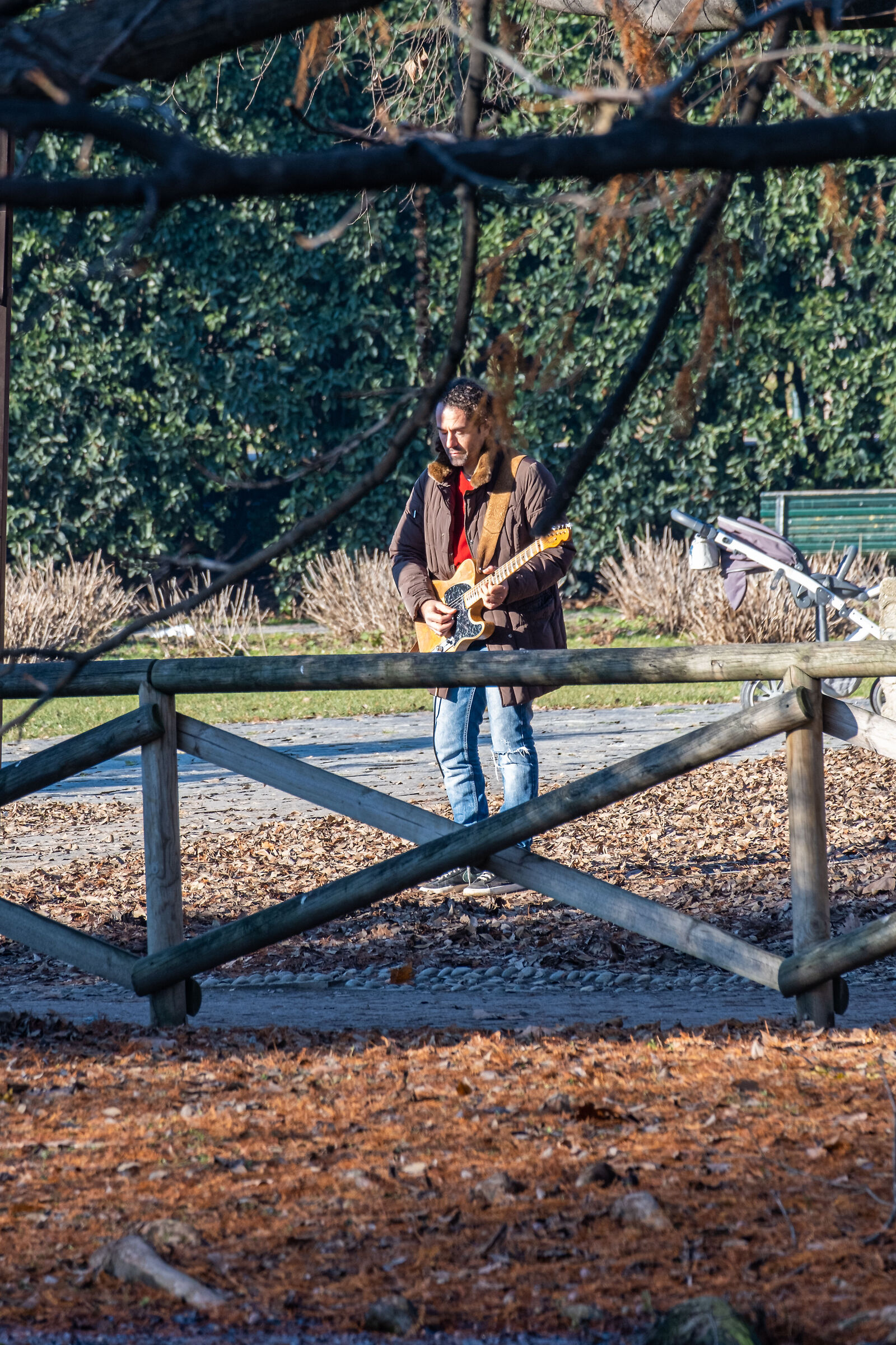 Guitarist at the park