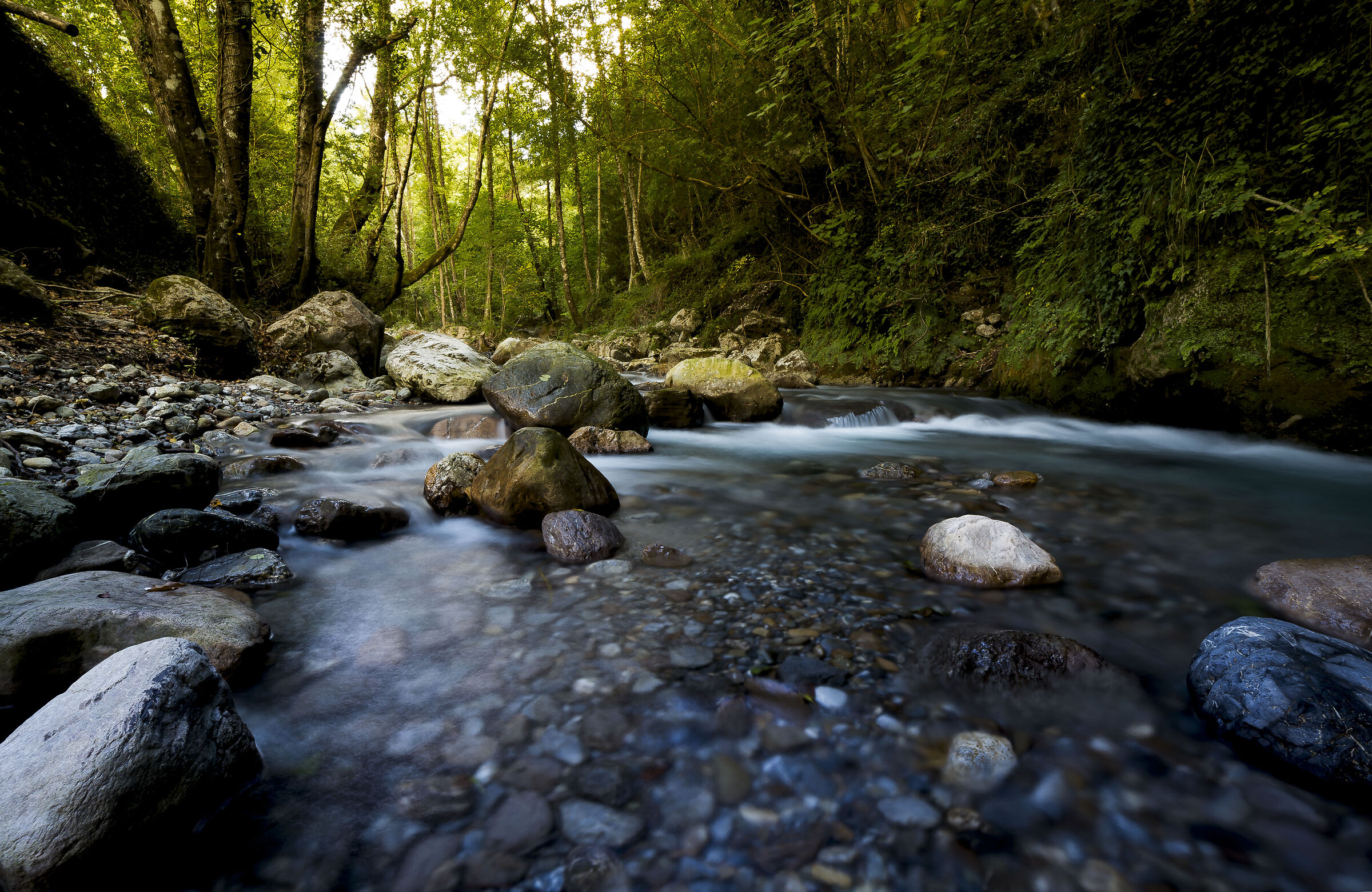 Valle del fiume Argentino*