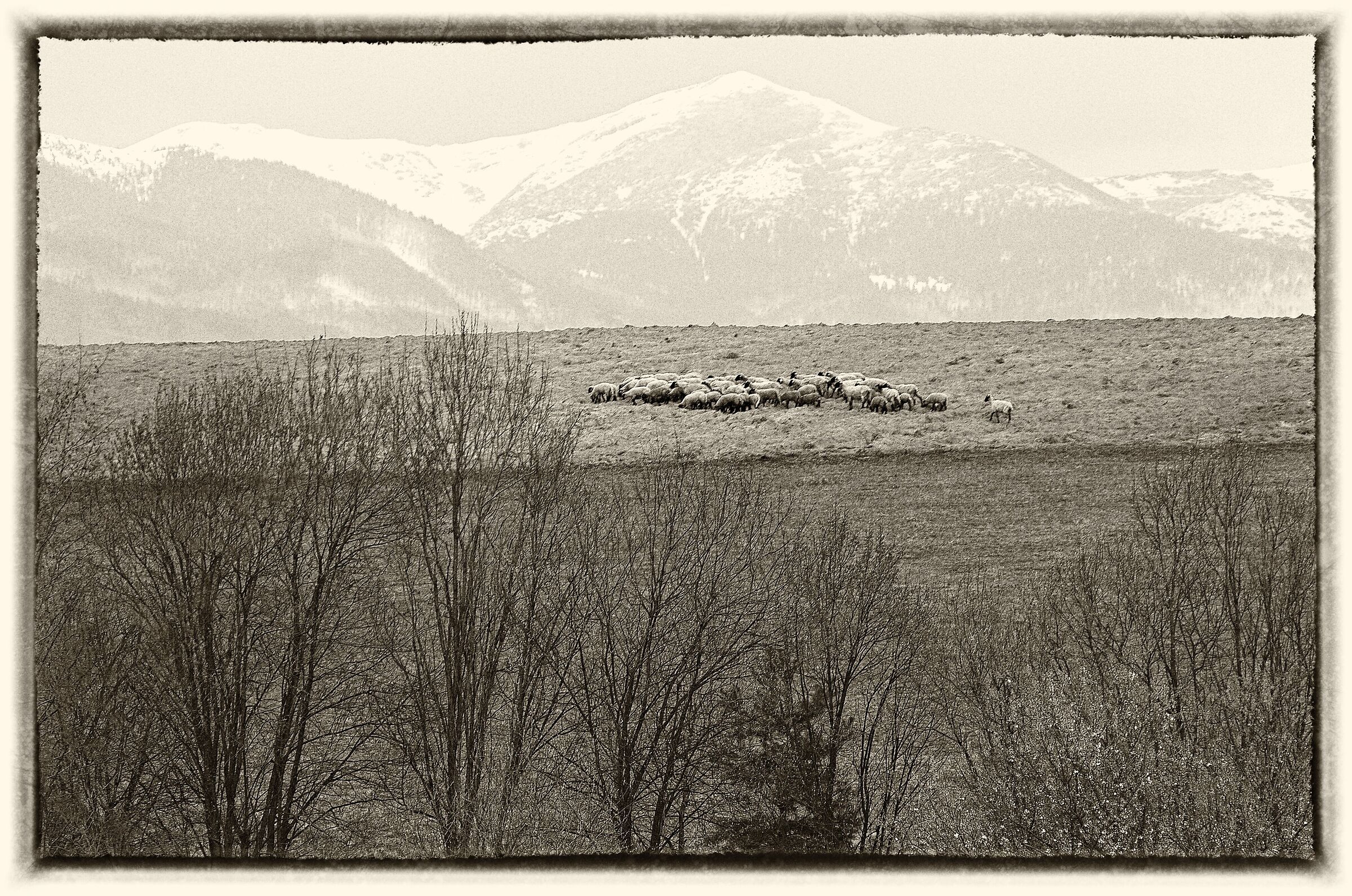 slovakia - black and white