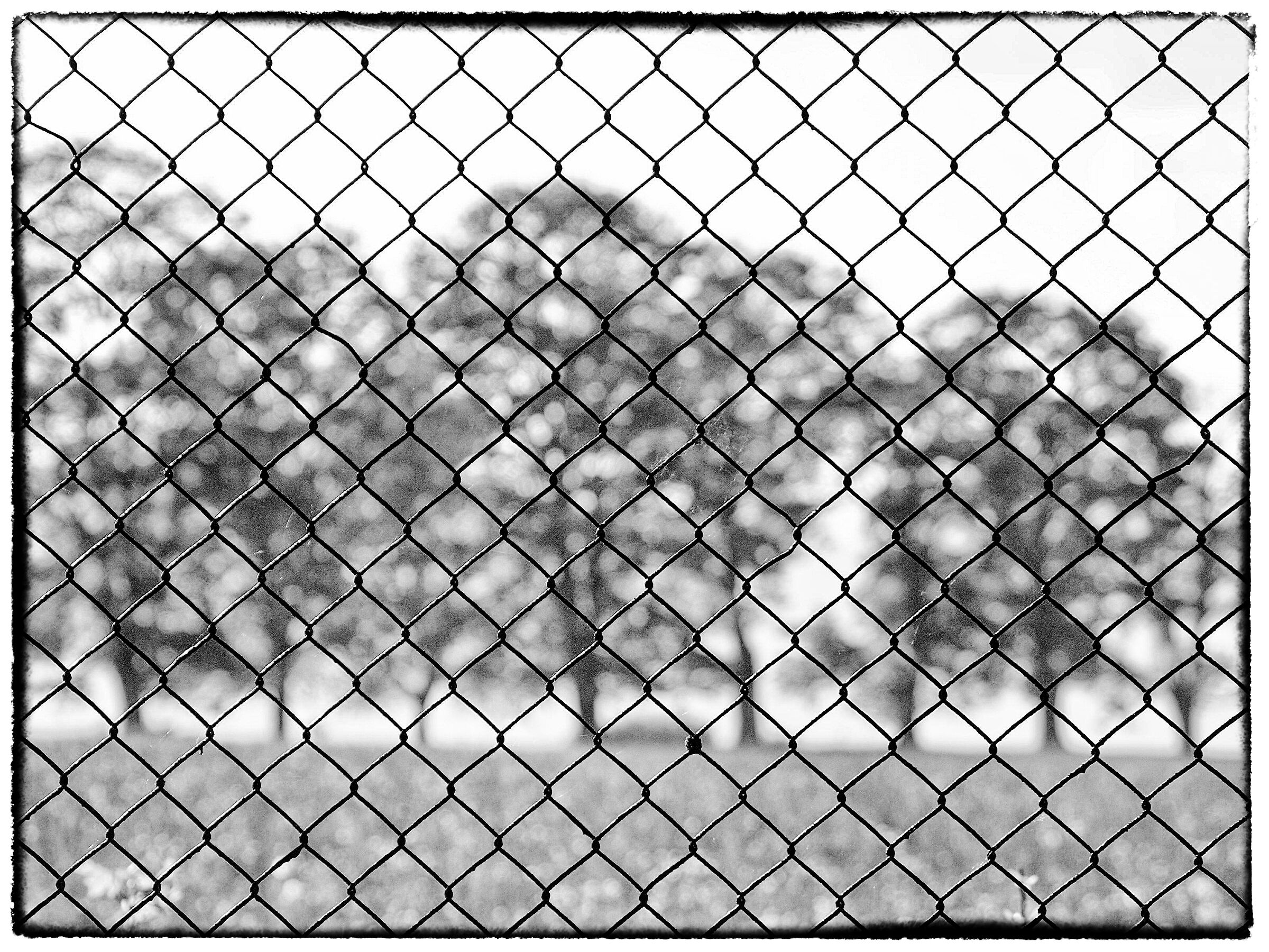 behind the fence - black and white