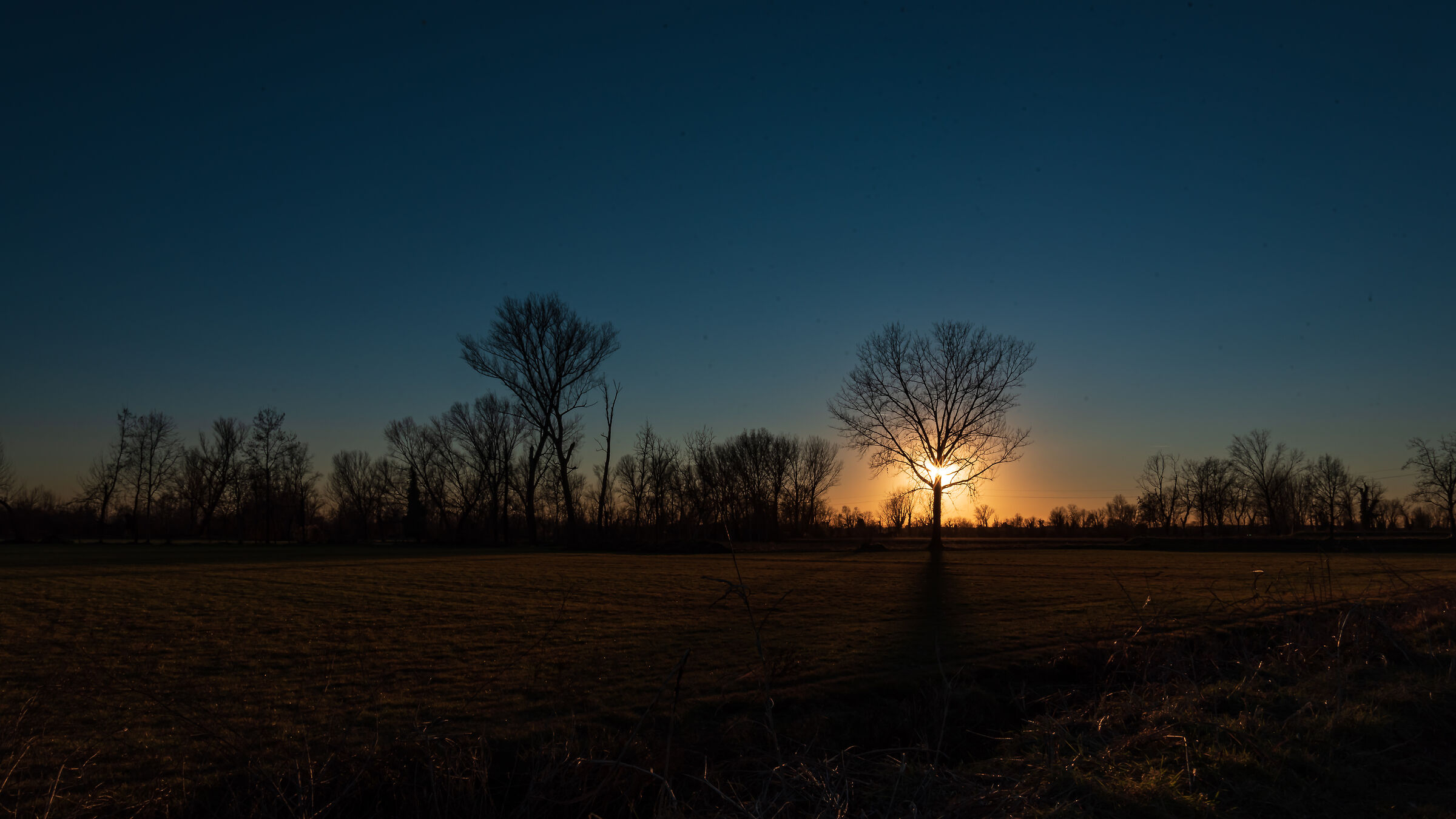 il momento in cui ogni sera gli alberi salutano il sole
