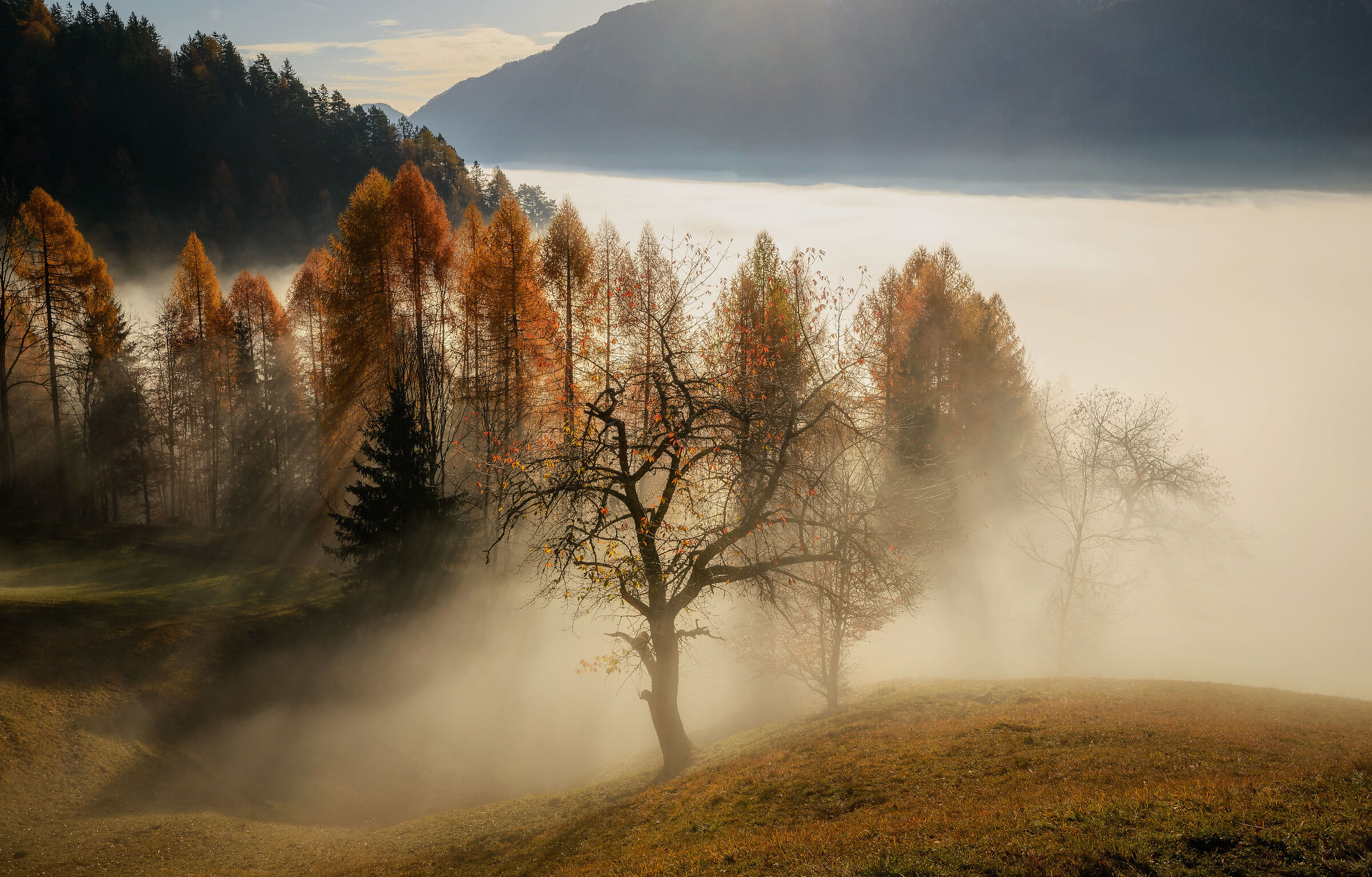 Sogni d'autunno
