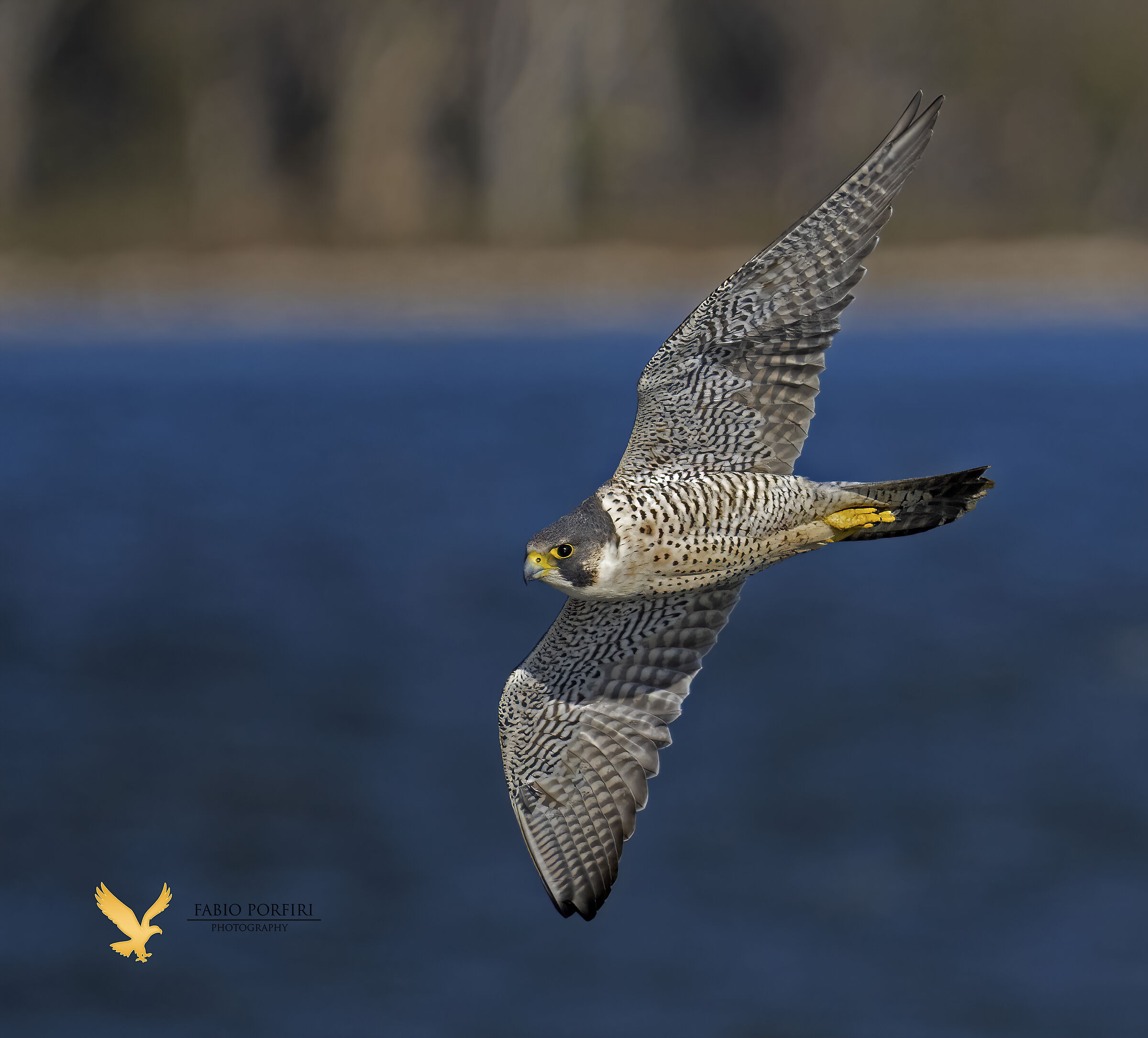 all'improvviso sul lago un razzo