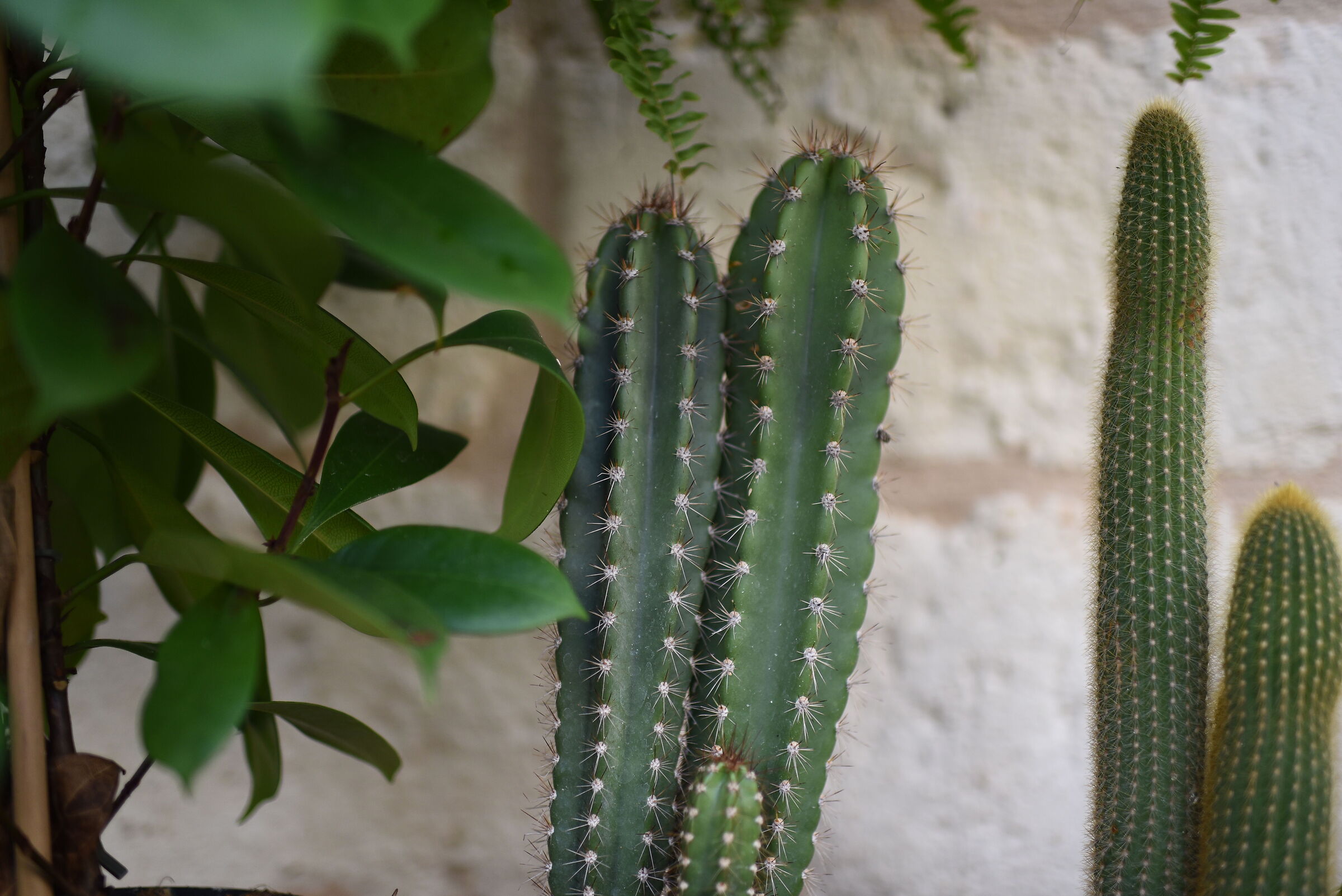 f.1.4 / Nikon 750- Tamron 35, 1.4 Di USD