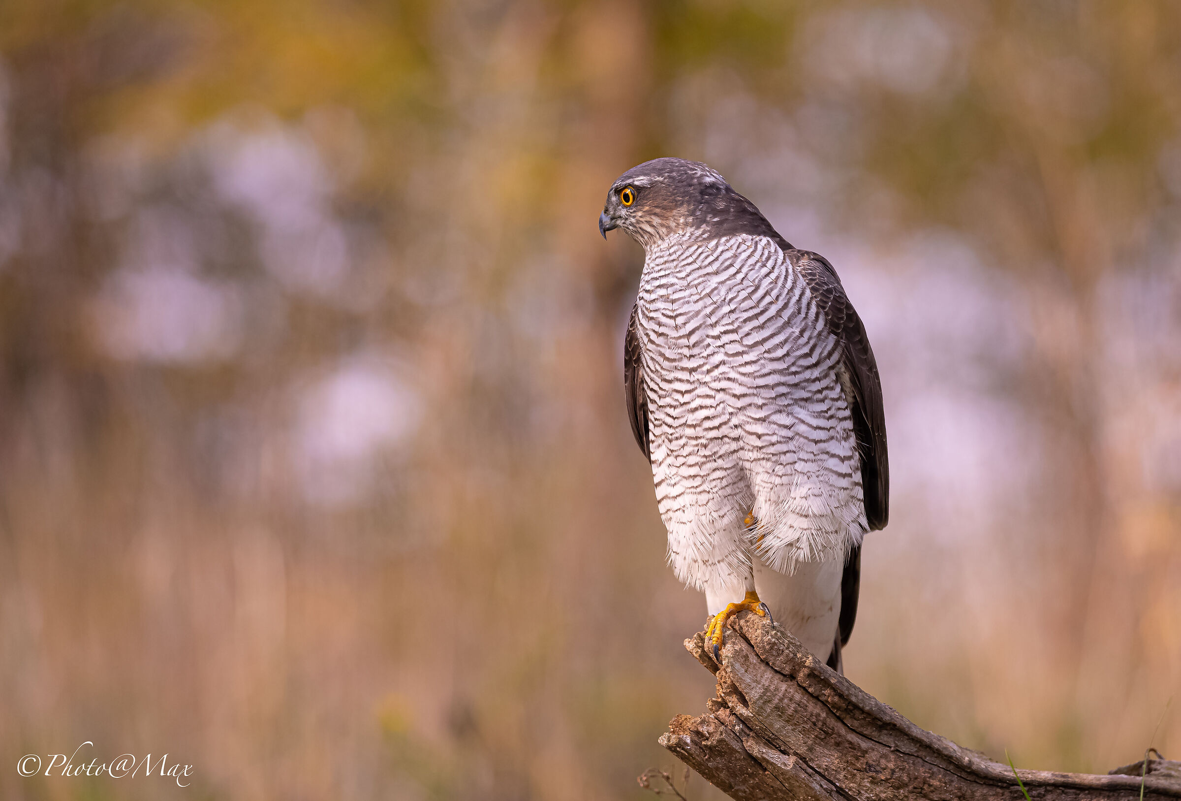 I trust or I don't trust...