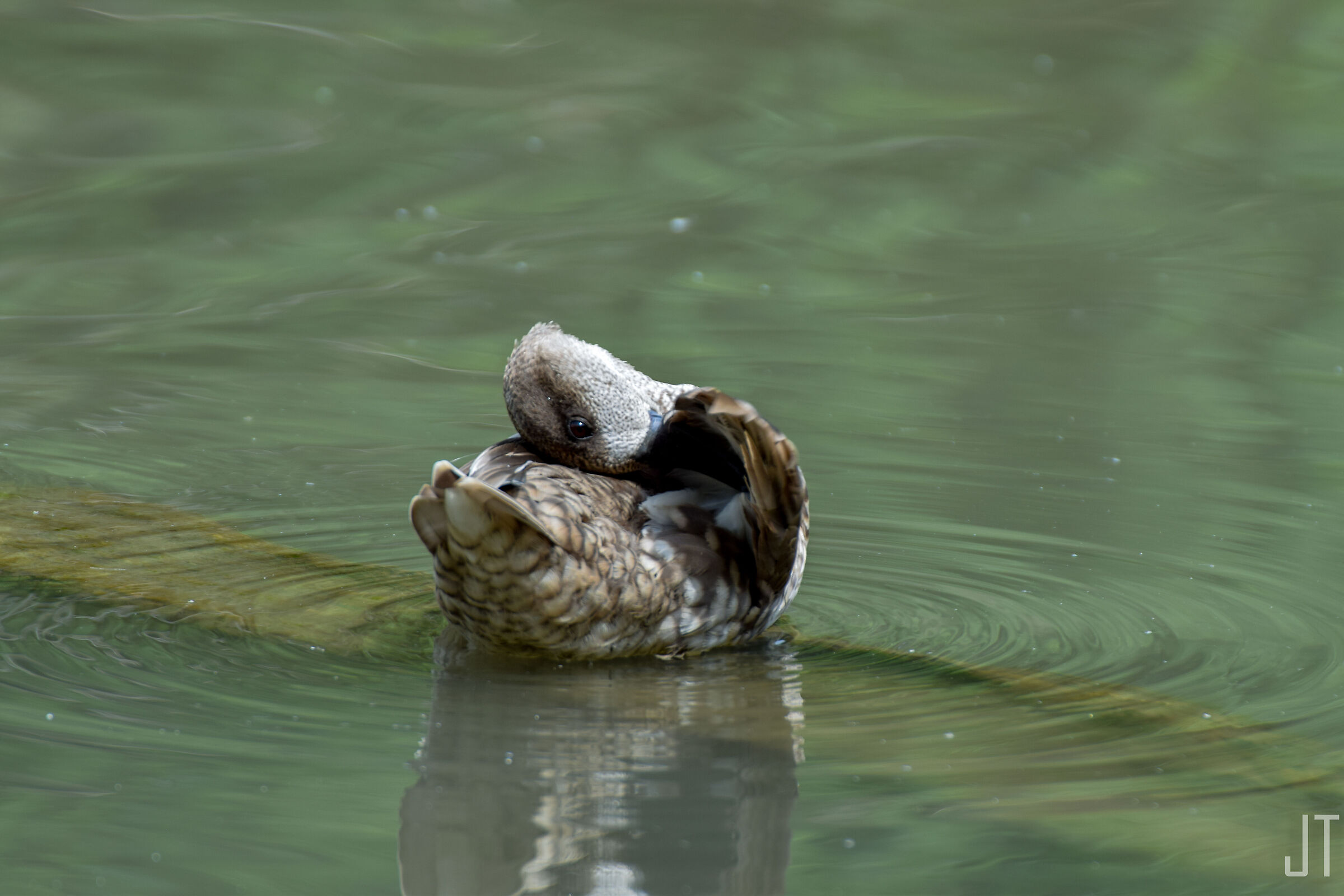 An uncomfortable pose