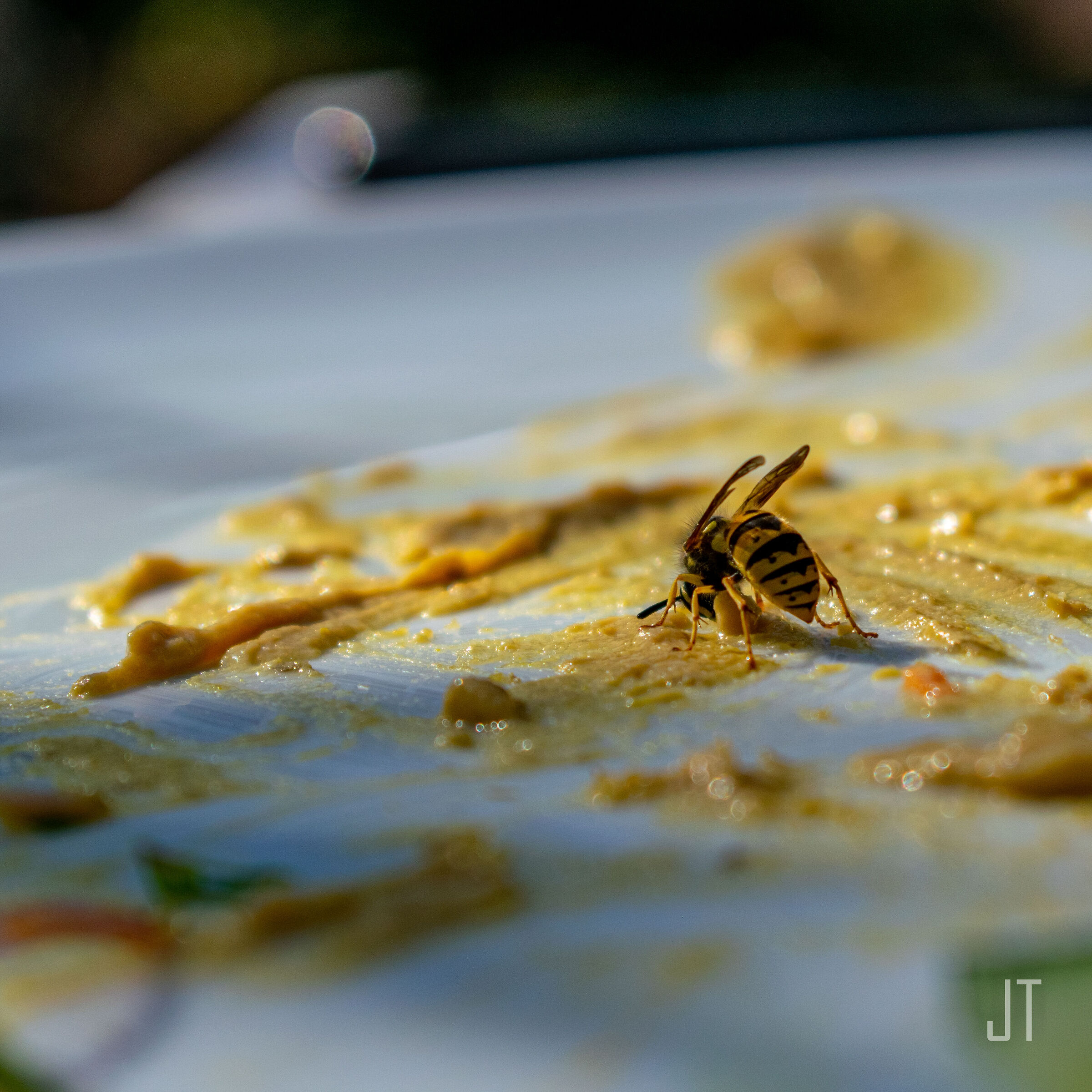 Rich dish I stick to it