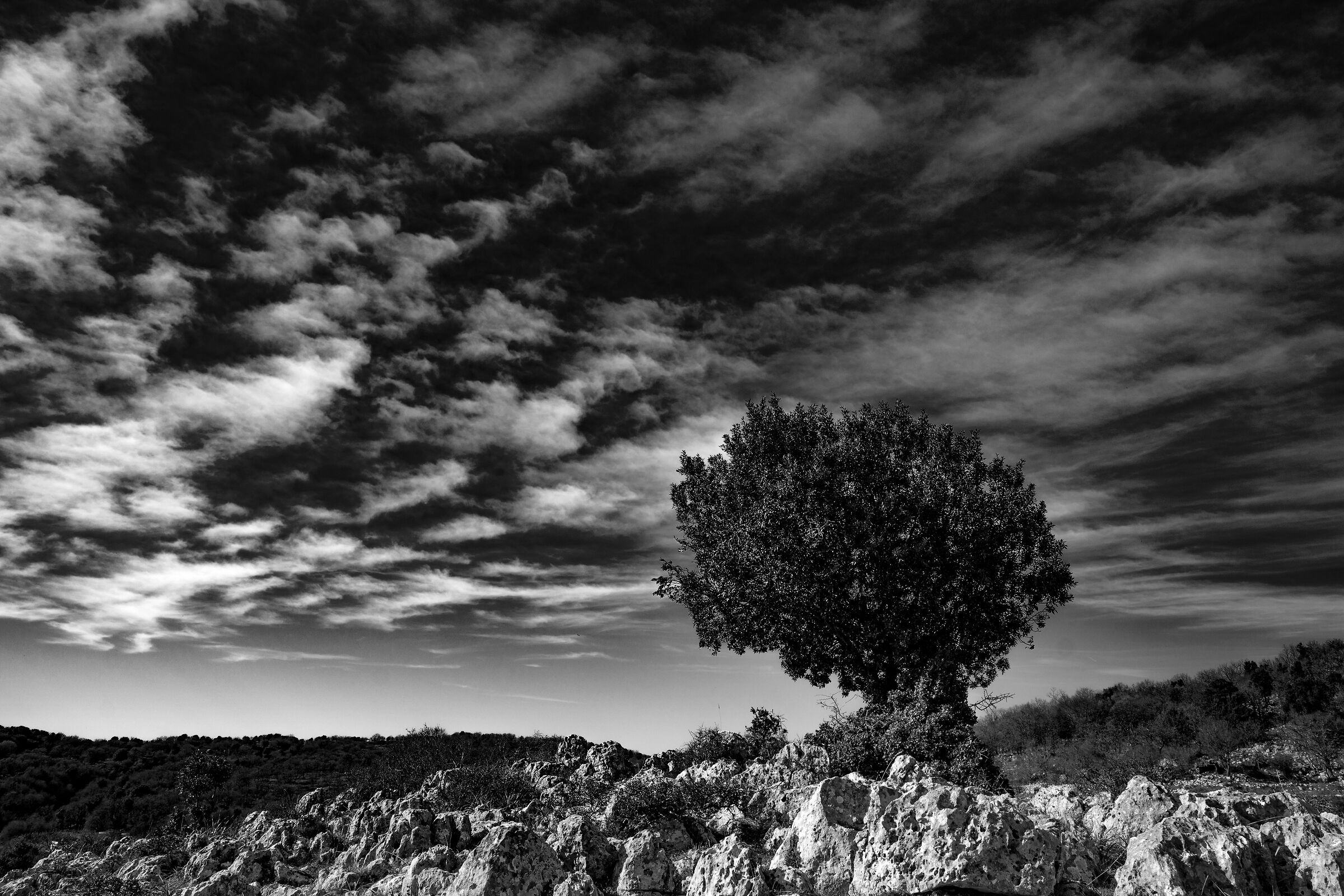 Paesaggio garganico