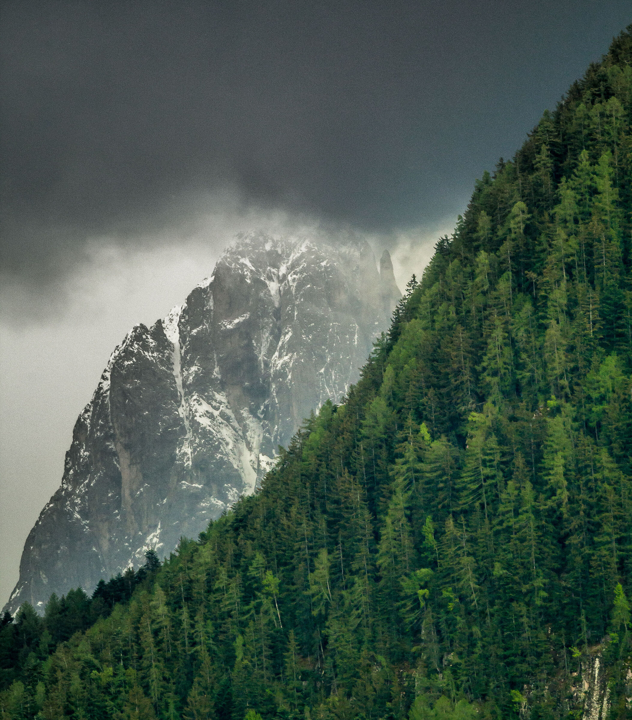 Stratificazione