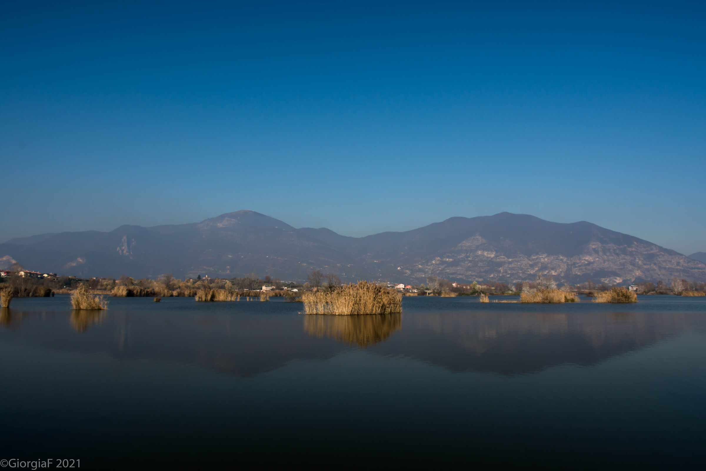 Riflessi delle torbiere