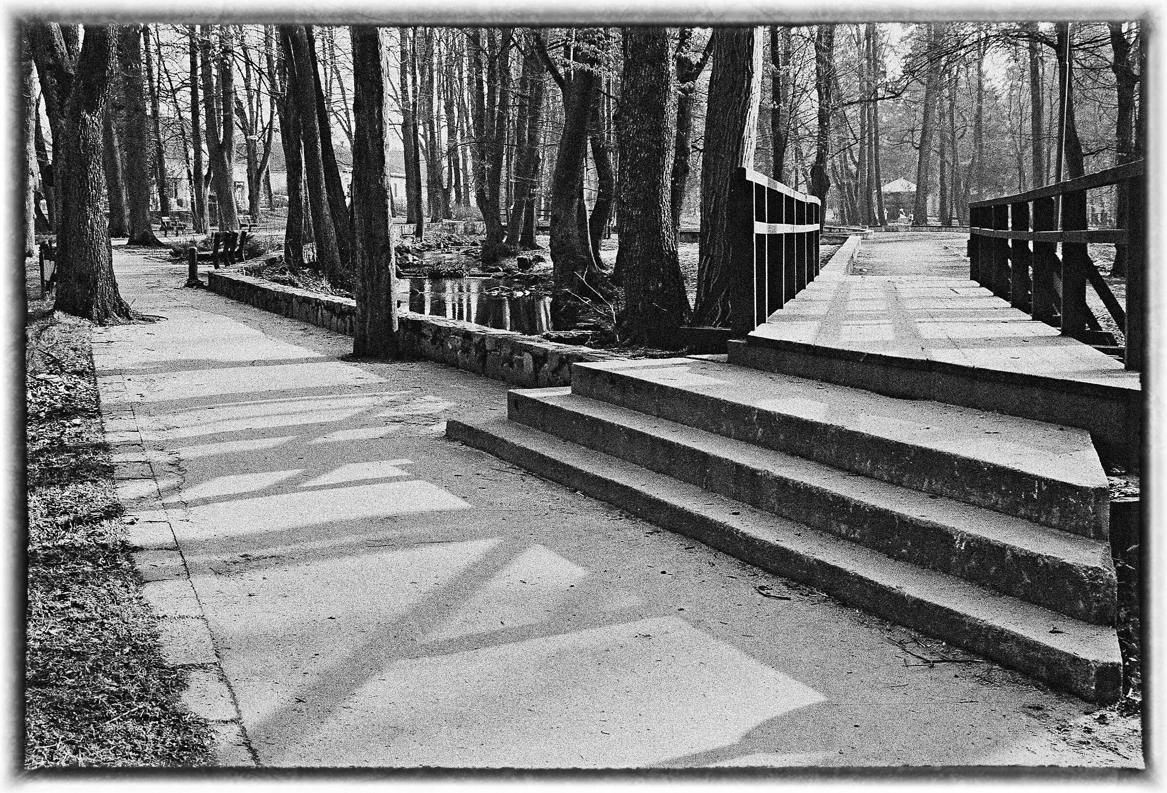 park - black and white