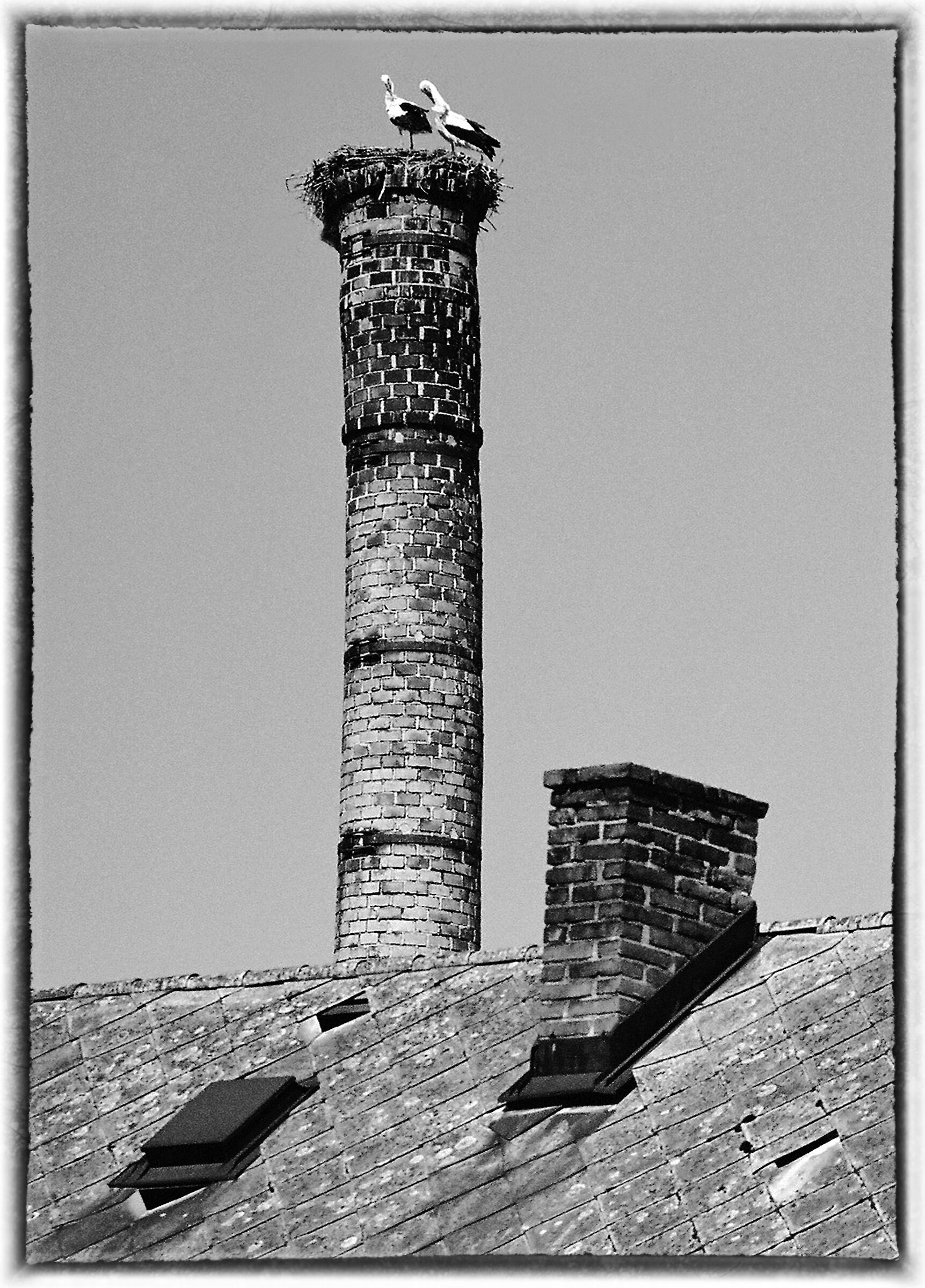chimney - black and white