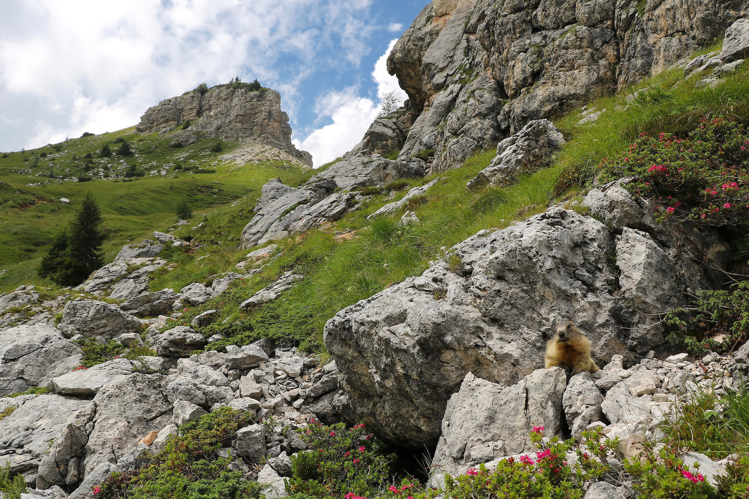 Welcome to My Kingdom