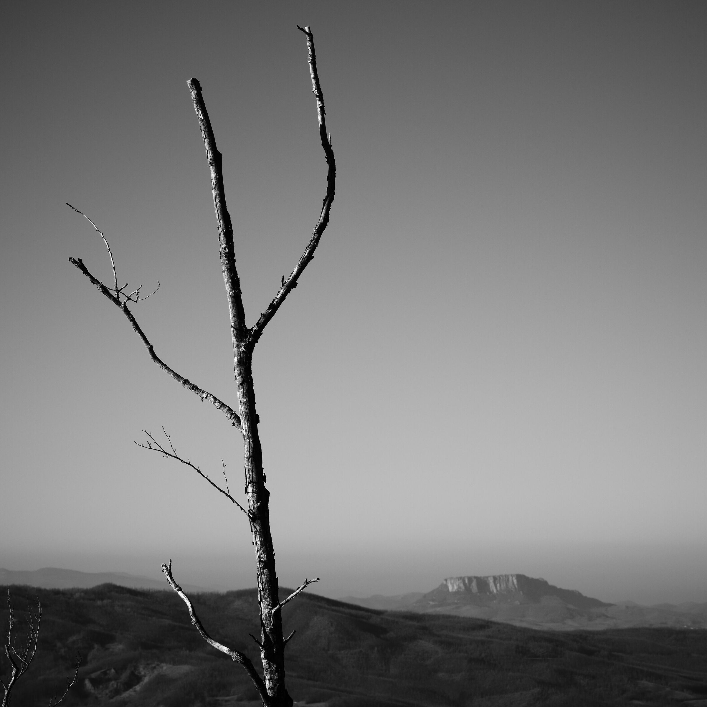 Hotels in Piandelagotti