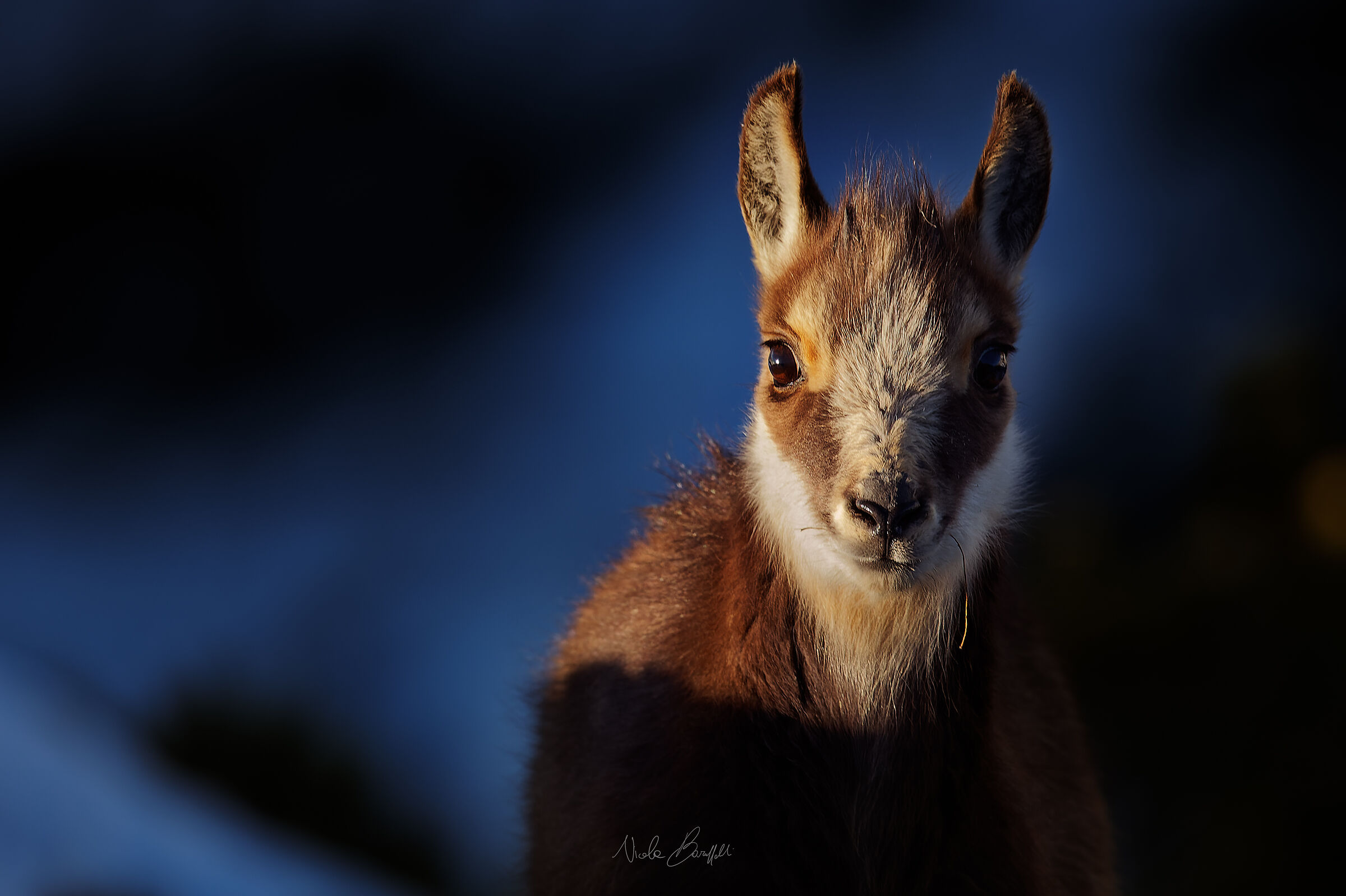 Il piccolo e la luce