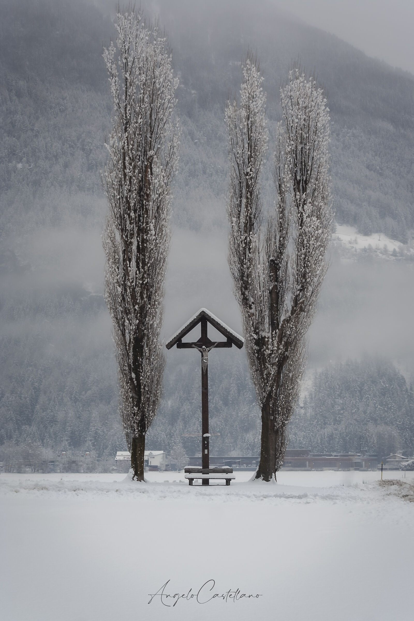 Mystical Arctic ( Campo Tures)