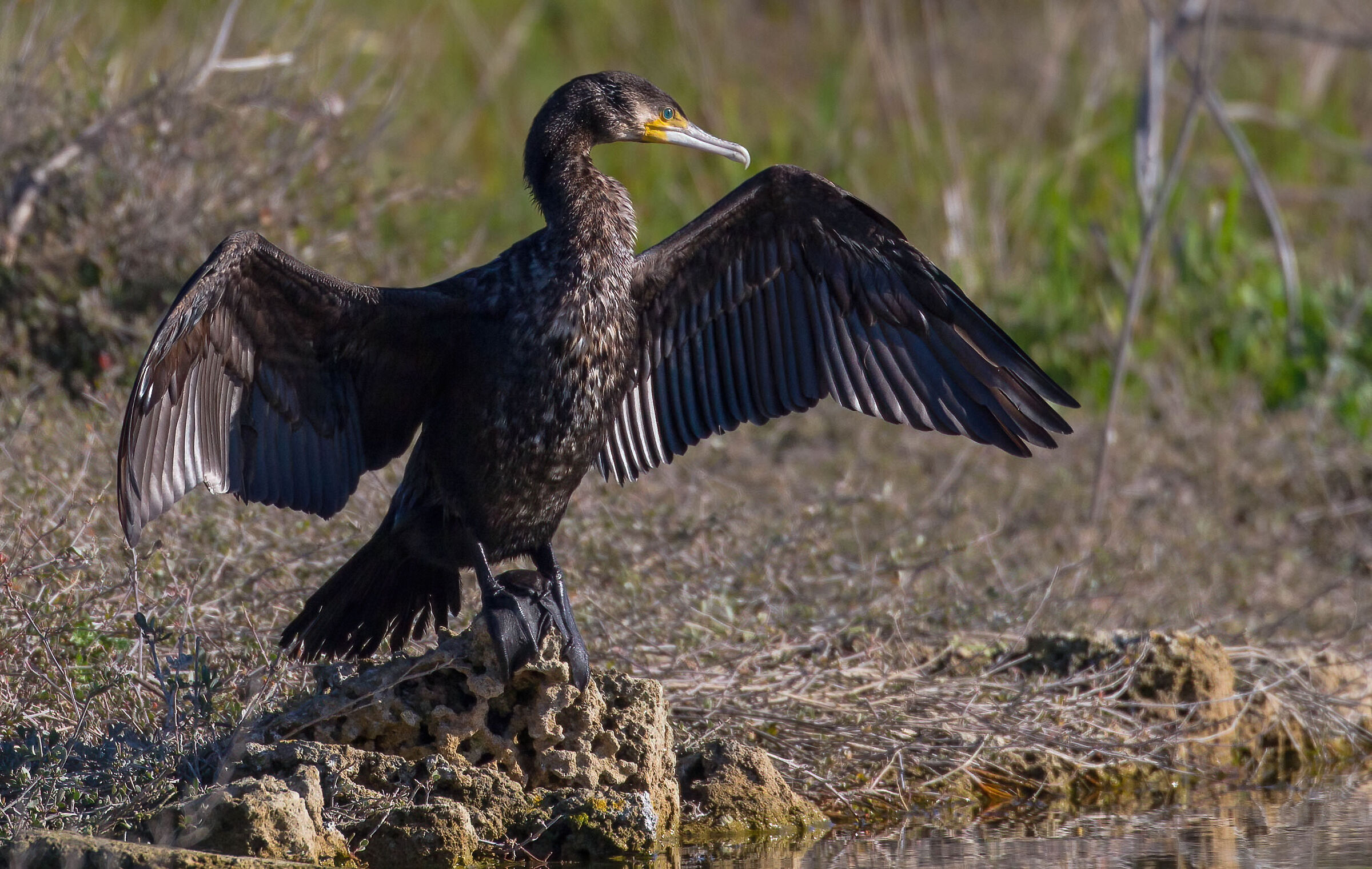 In the warmth of the sun